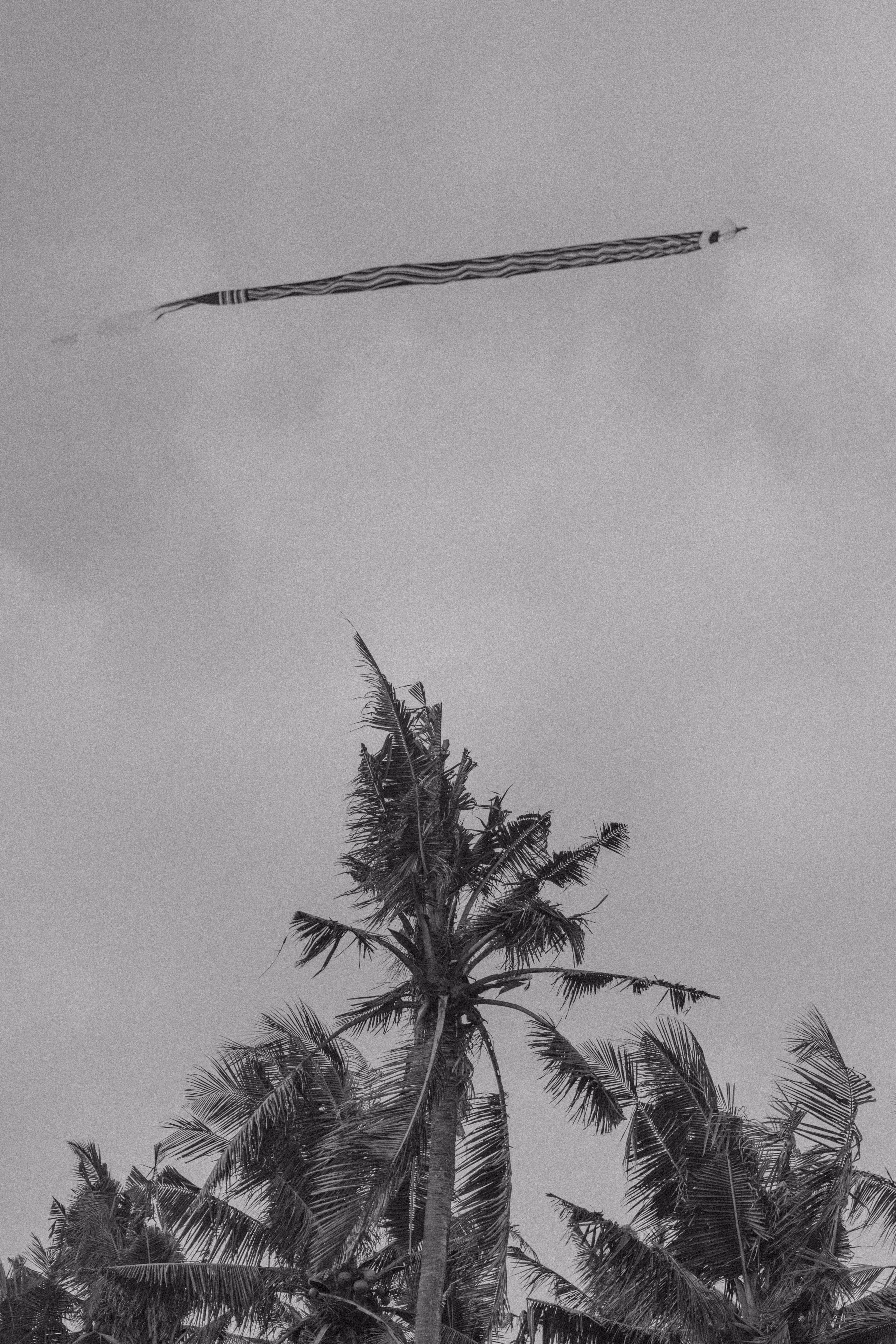 the kite. 