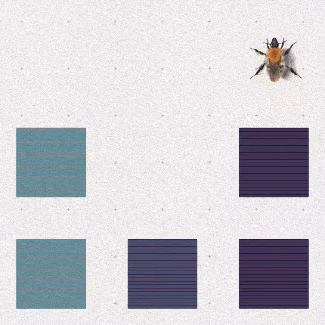 Bee #13