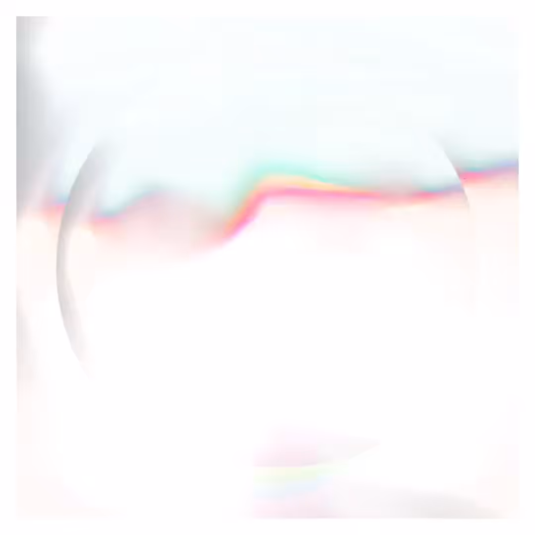 neural #1: inital Edition