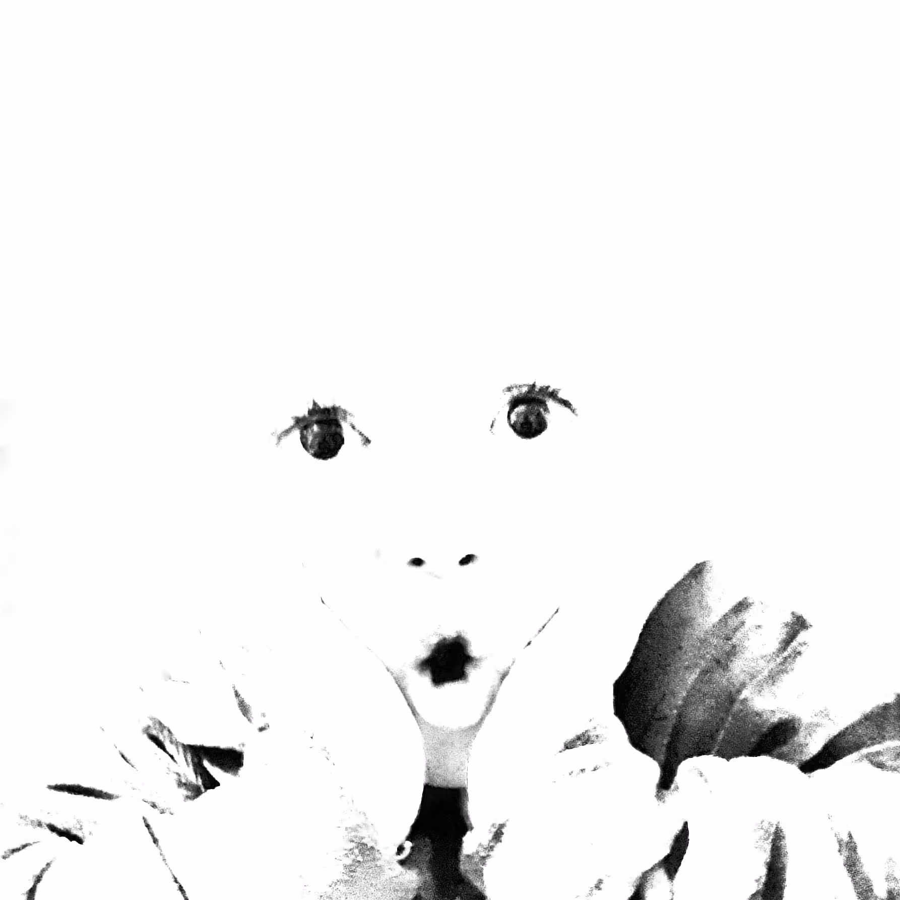 The Scream