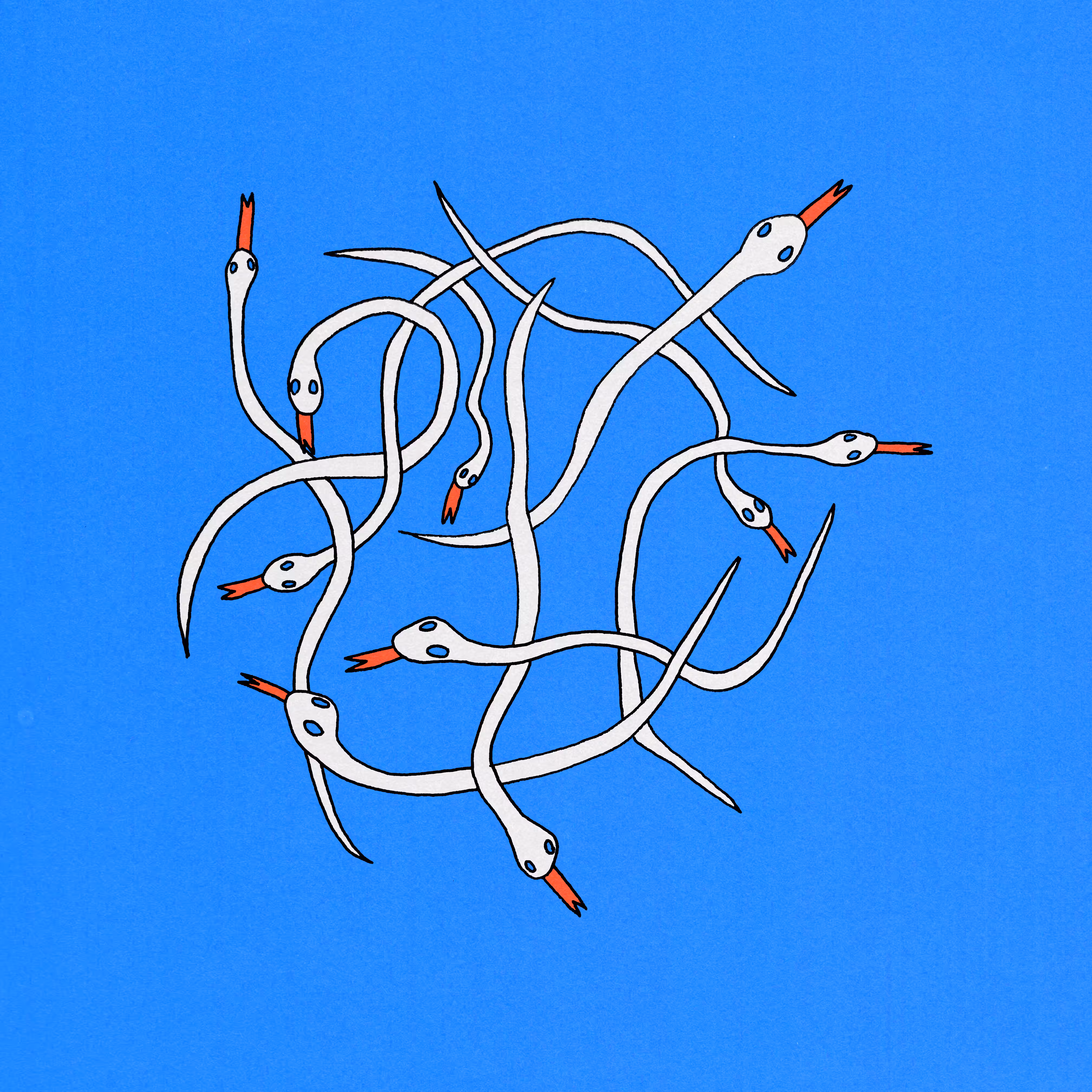 Snakes 01
