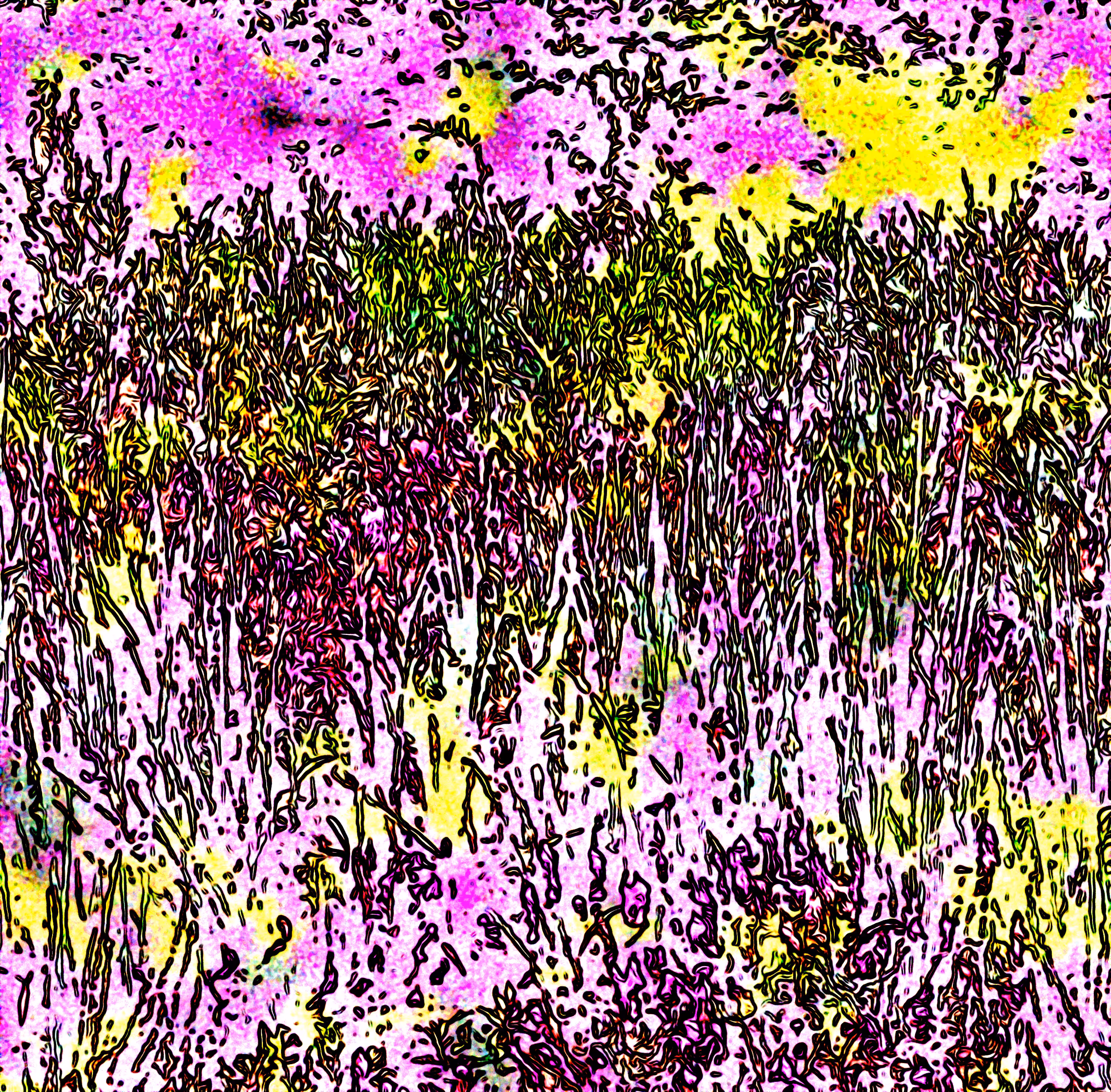 Summer Meadows