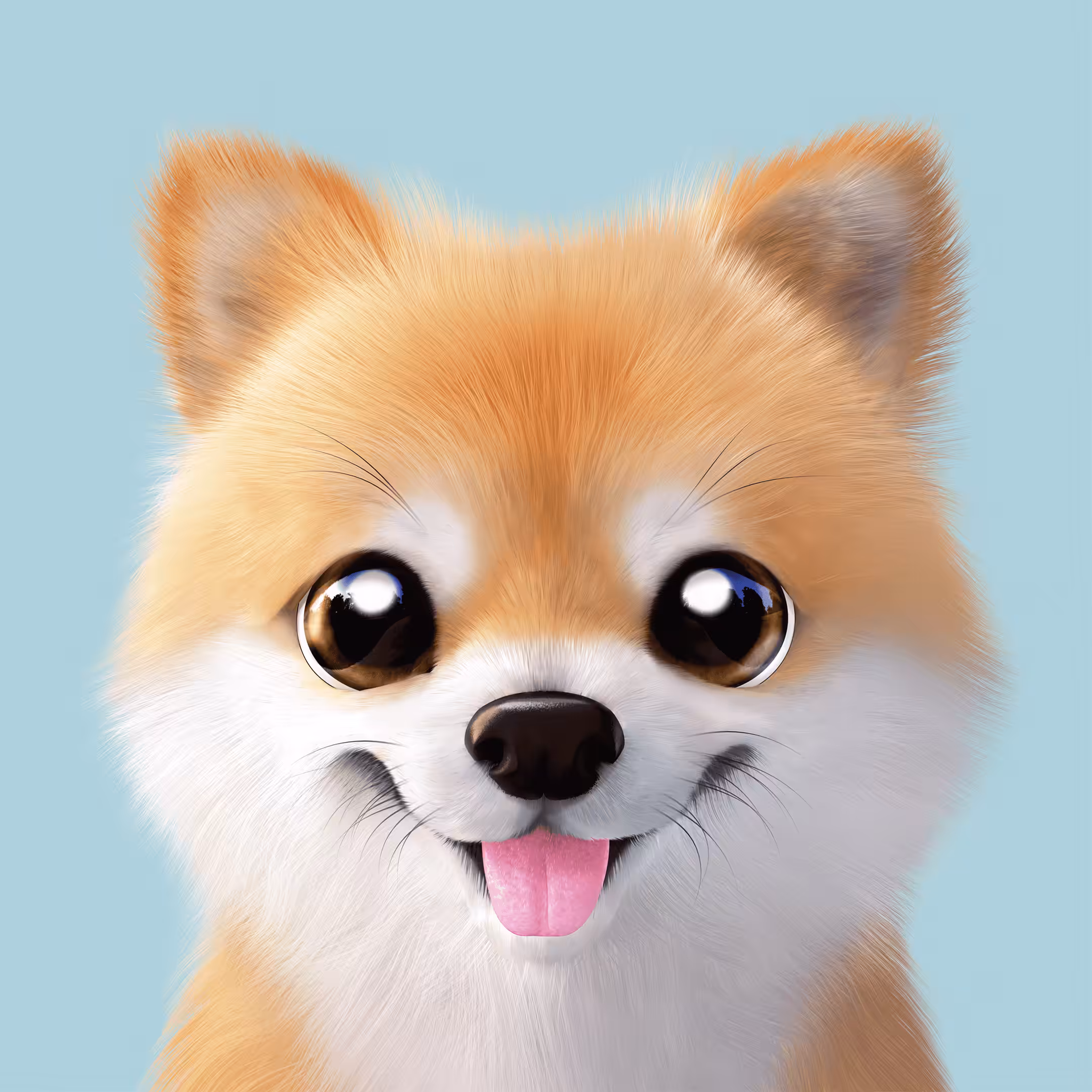 #162 Tan the Pomeranian