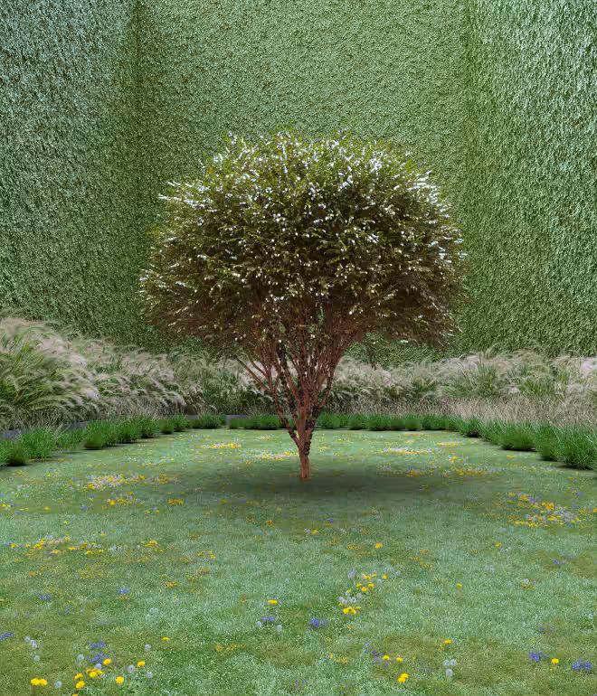 Garden of Imagination #11