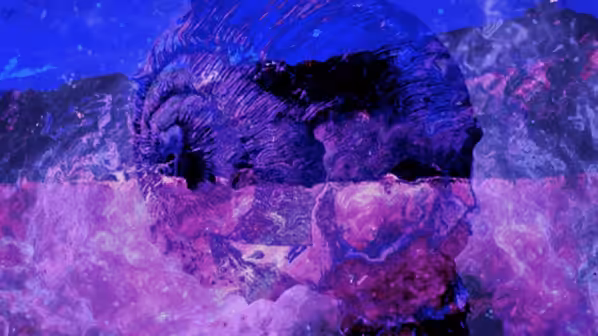 Vaporwave Shelled Gastropod Skull