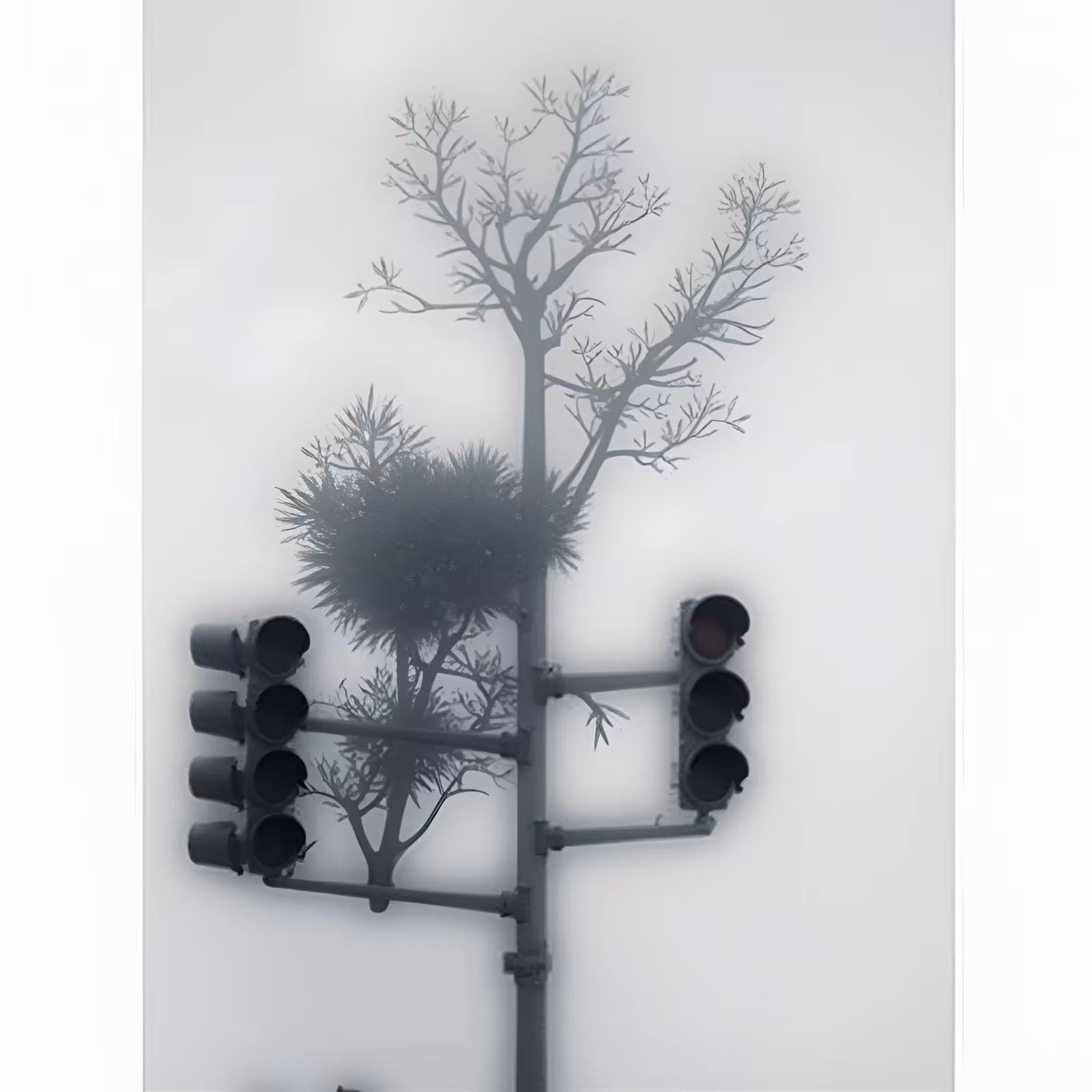 Veil of Silent Signals