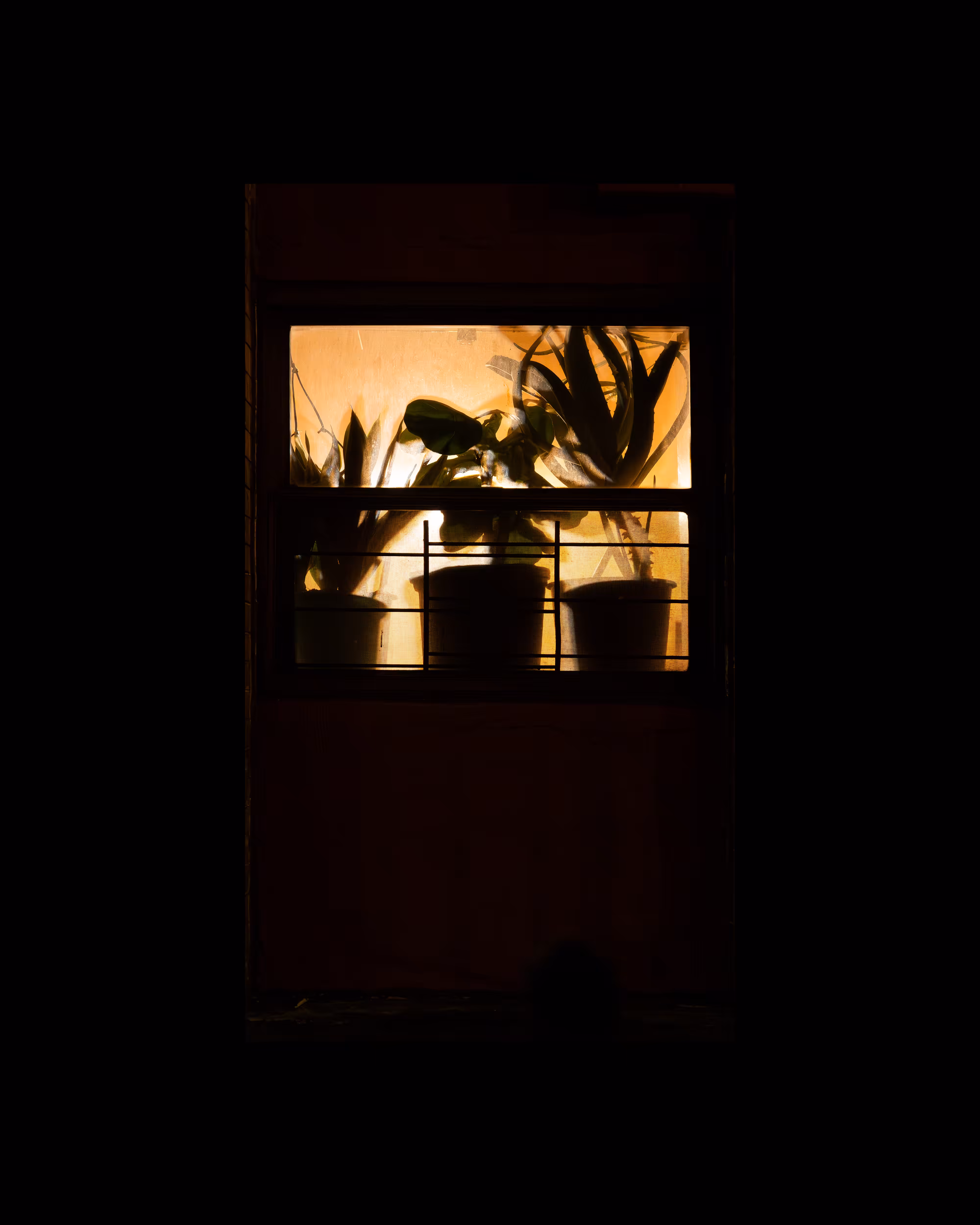 WINDOWS // NYC: WINDOW 595
