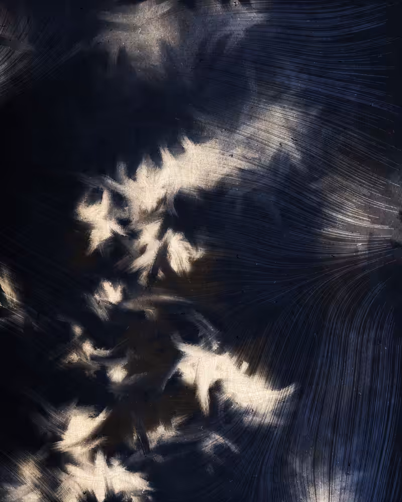 Cosmic Rays #135