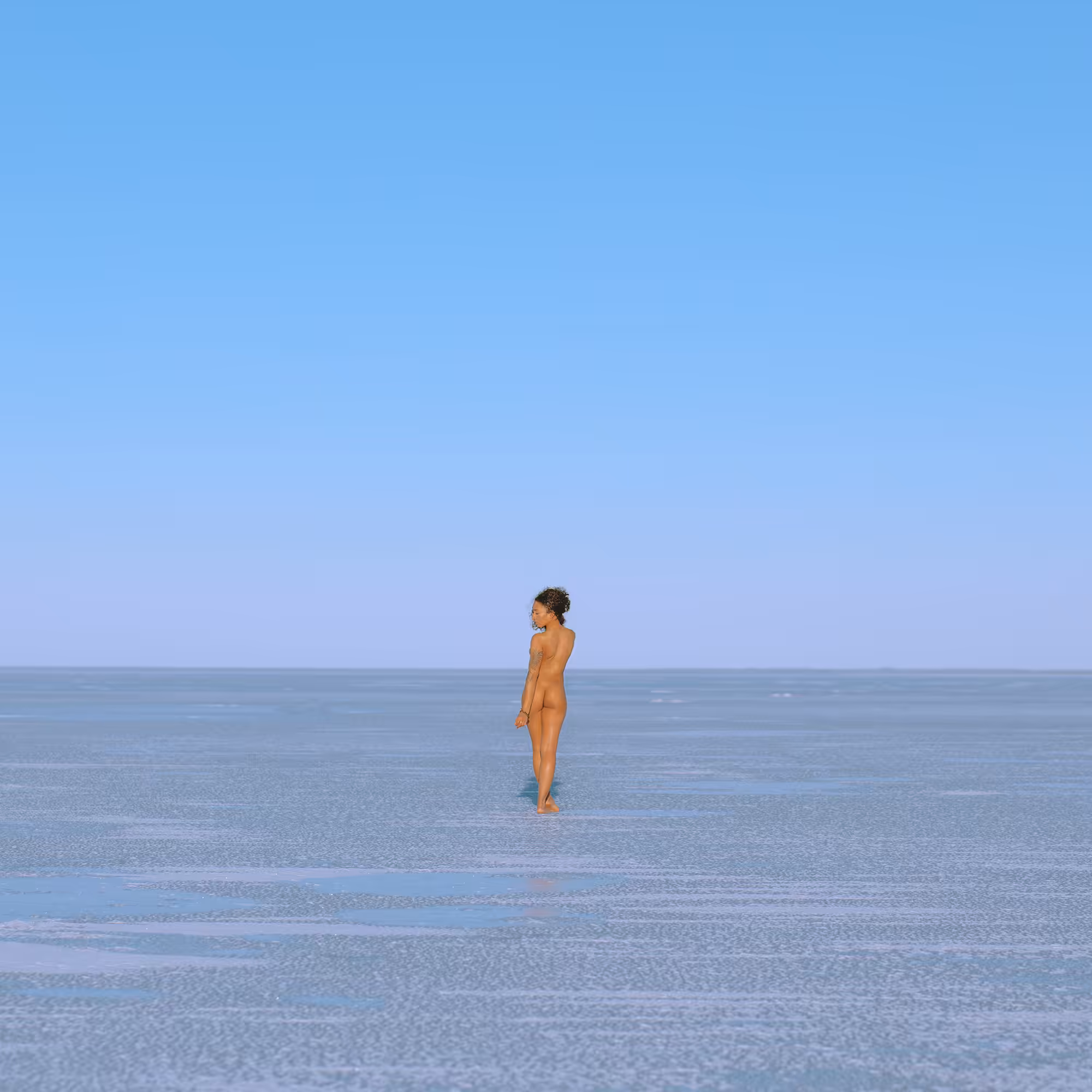 South in the North 