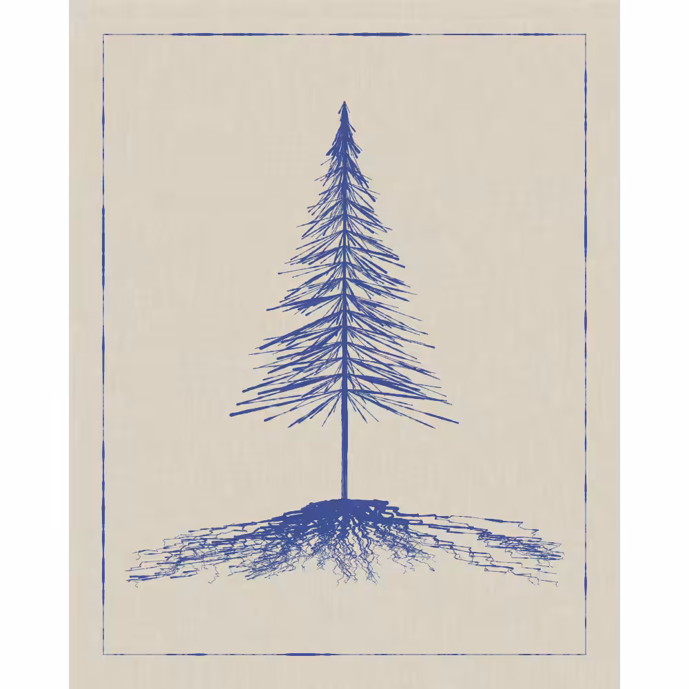 Roots #14