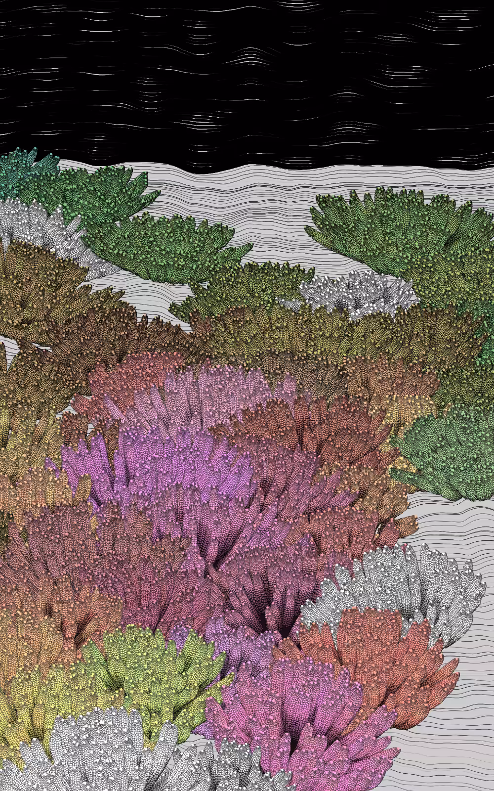 The Restoration Scheme: Bleaching #30