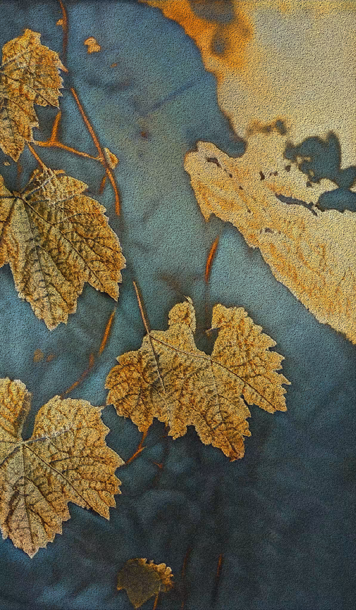 APPARATUS-VITIS: Apparatus Vitis #66