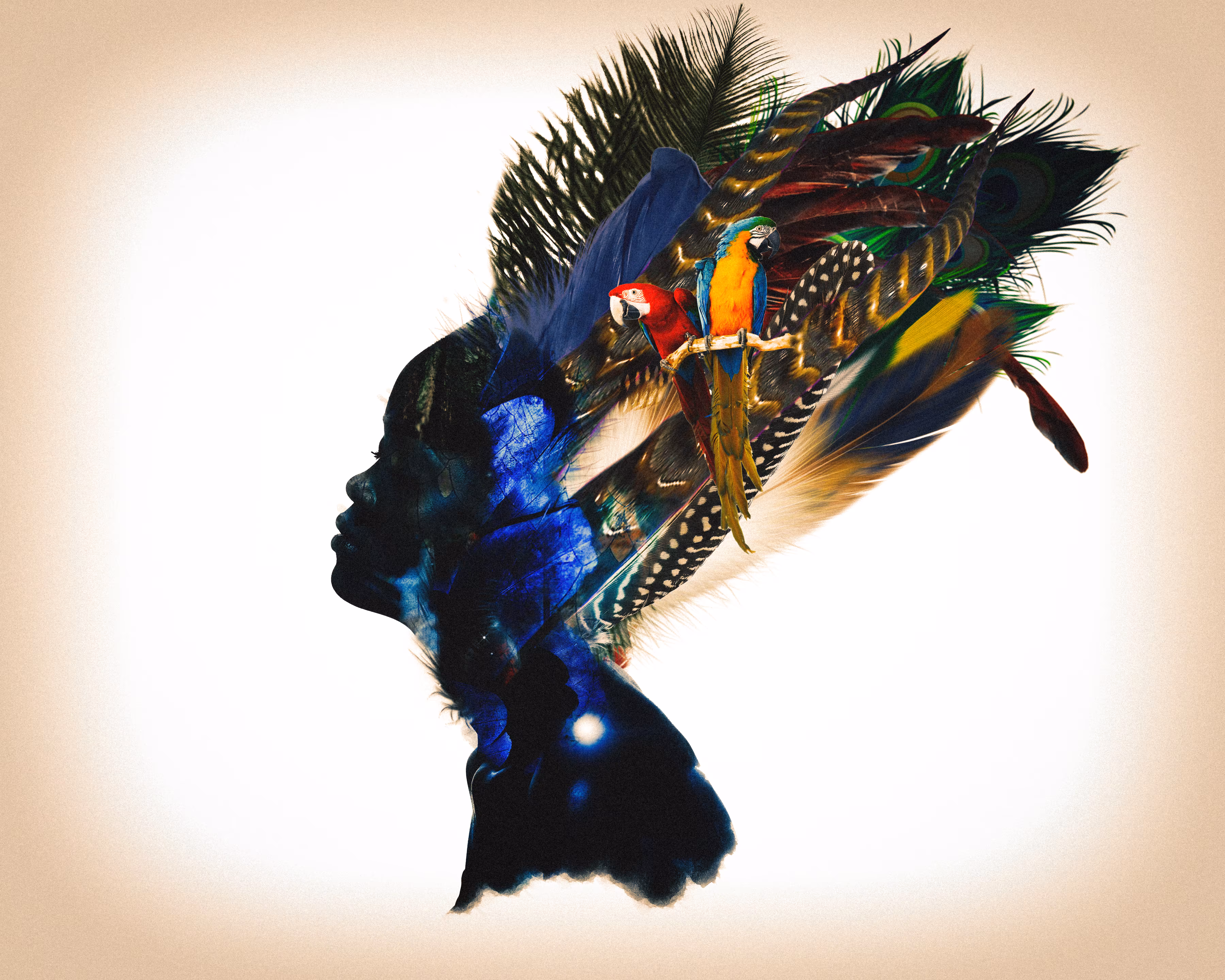 war bonnet: TIS SGWA