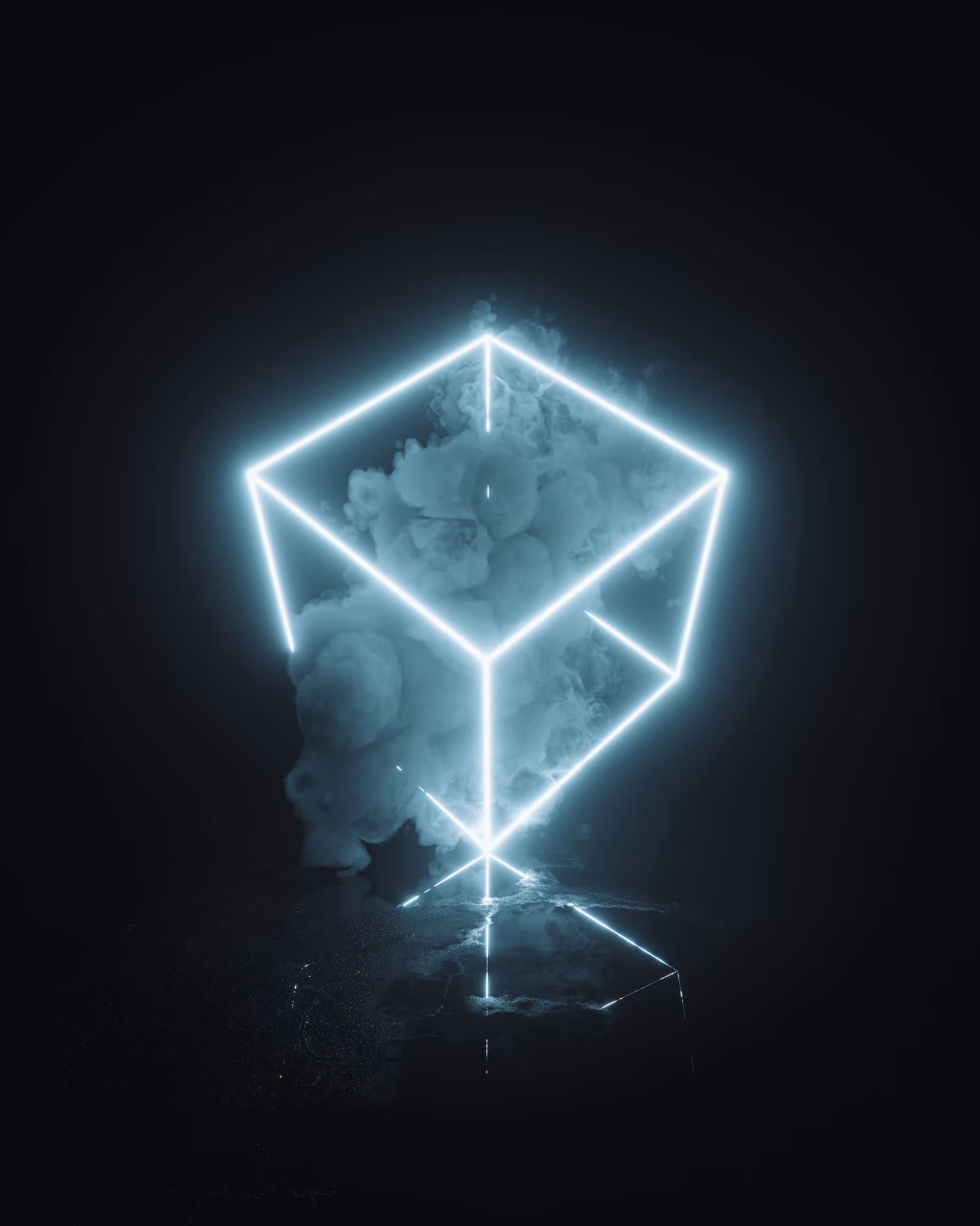 F0LL0WTH3L1GHTS #15