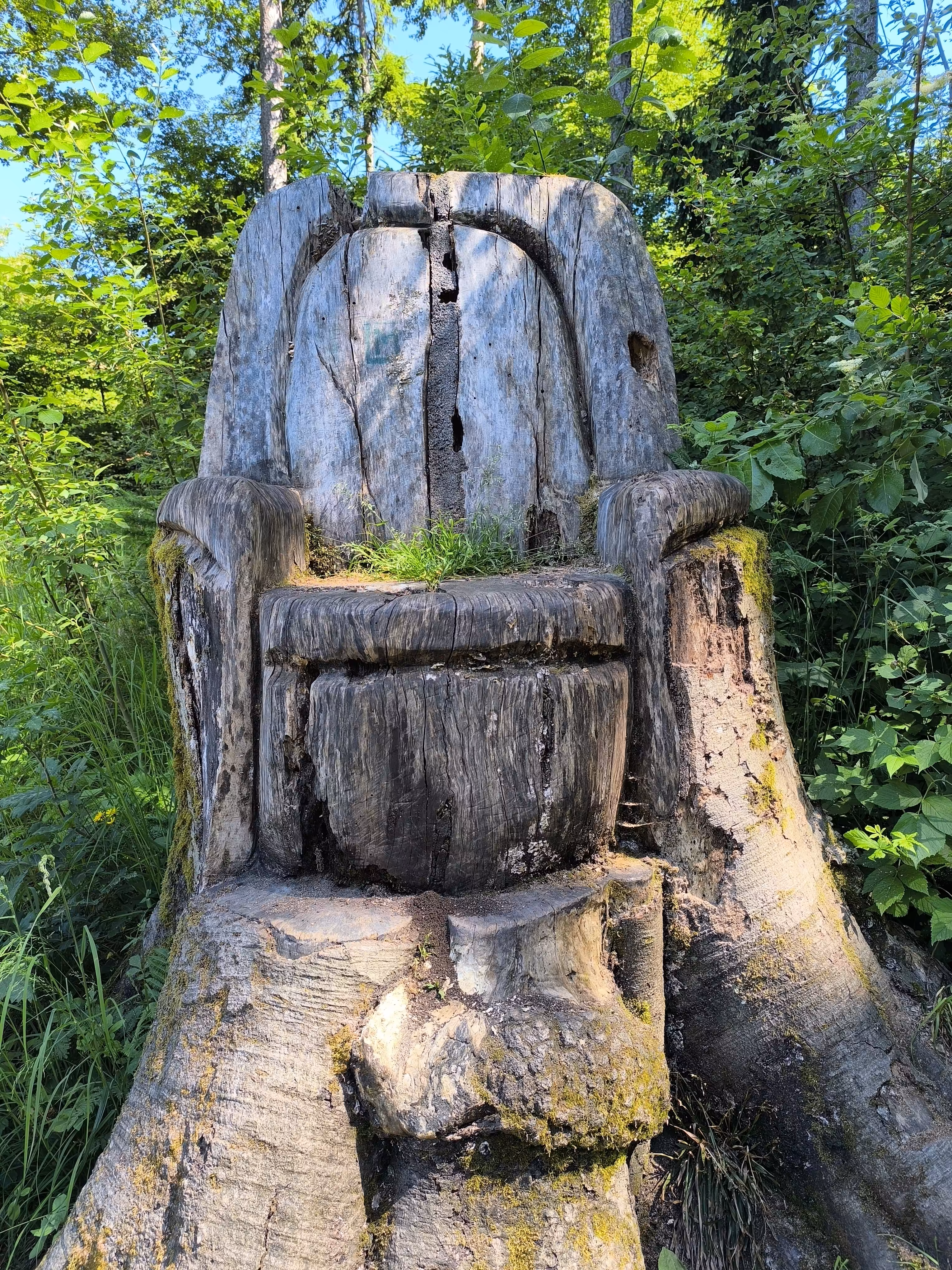 The Woodland Throne