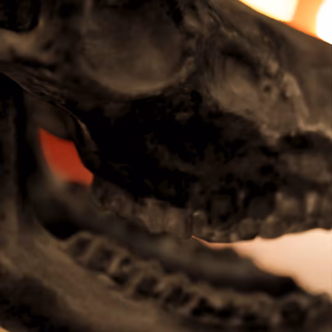 We Burn Them, Yet They Still Stand