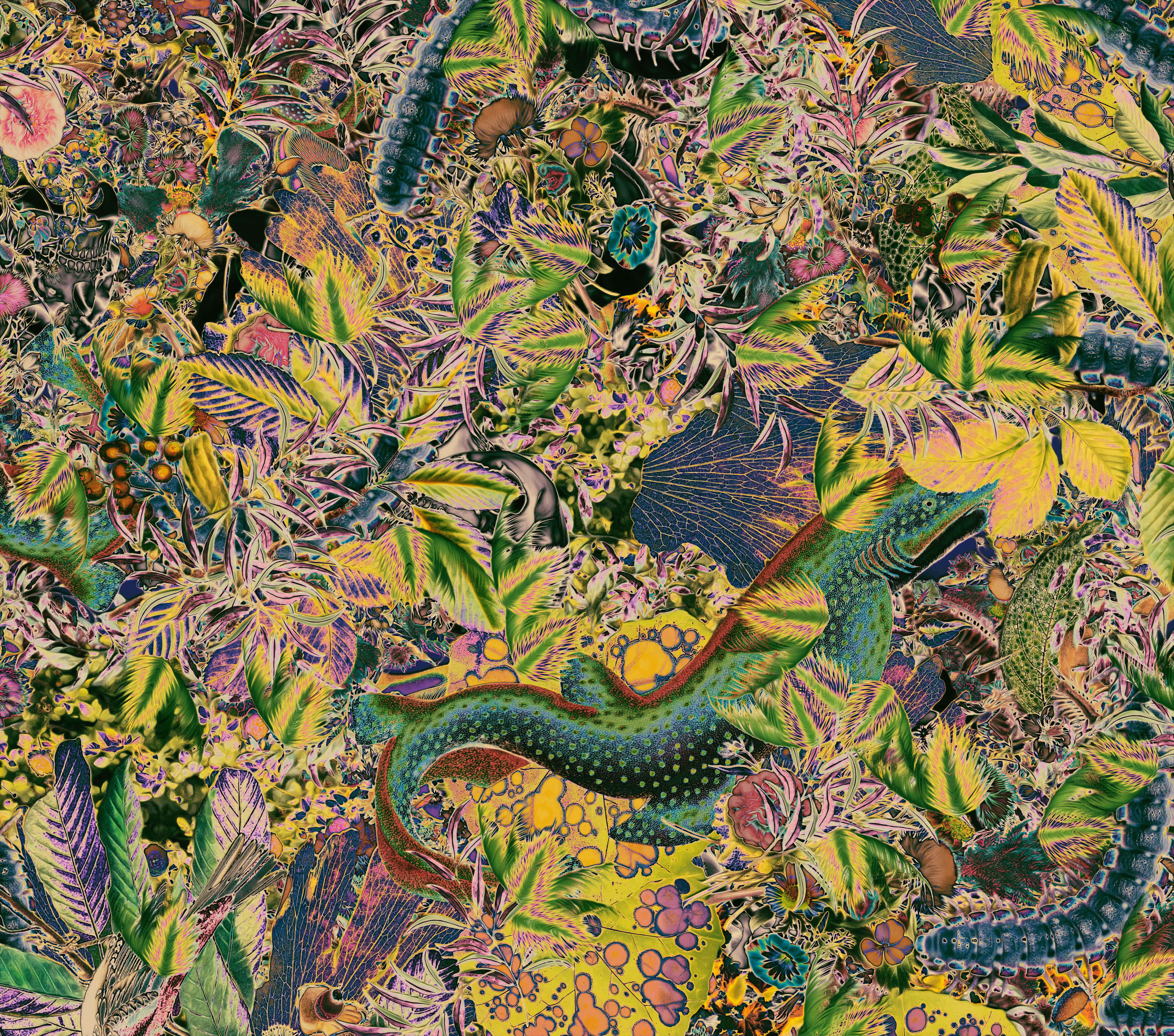 Primavera