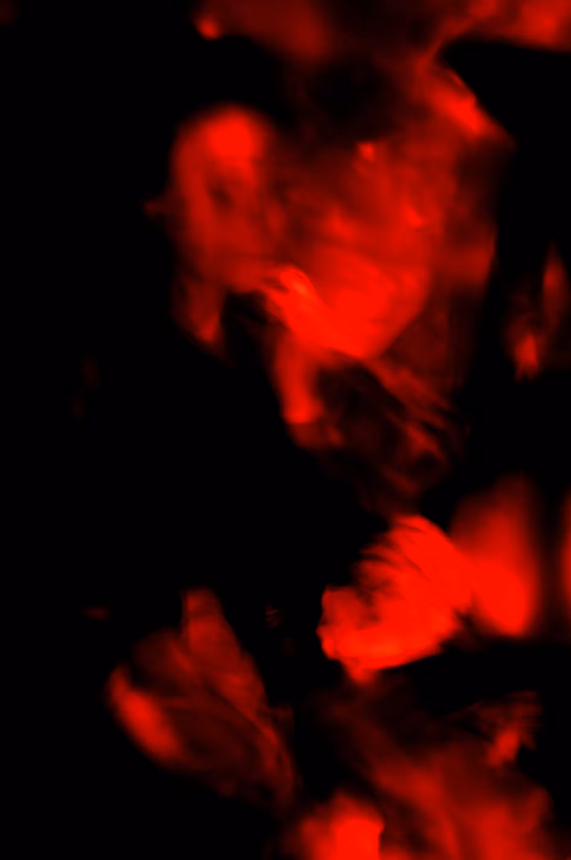 Dance of Shadow and Fire