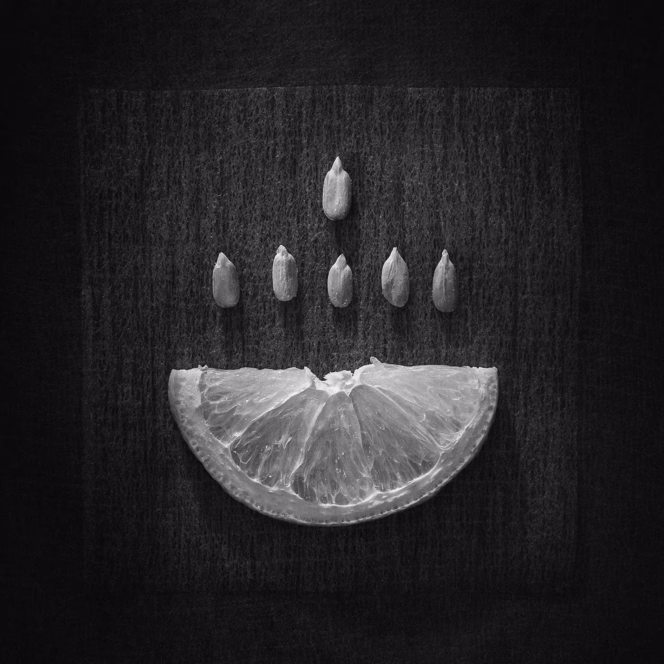 Lemon and seeds