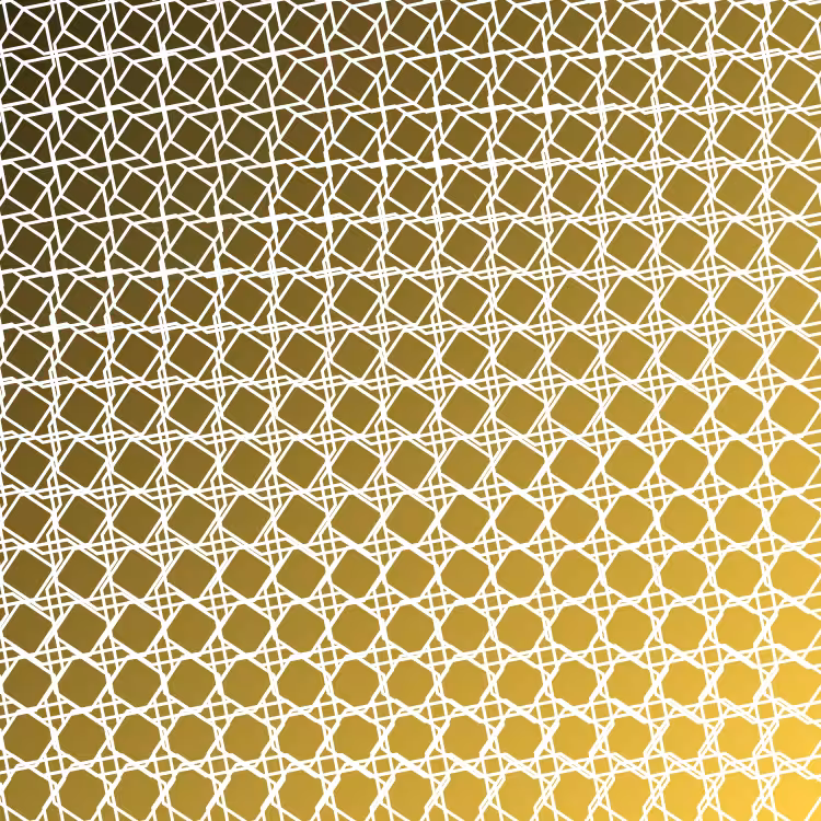 bilinearInterpolationTwist #81