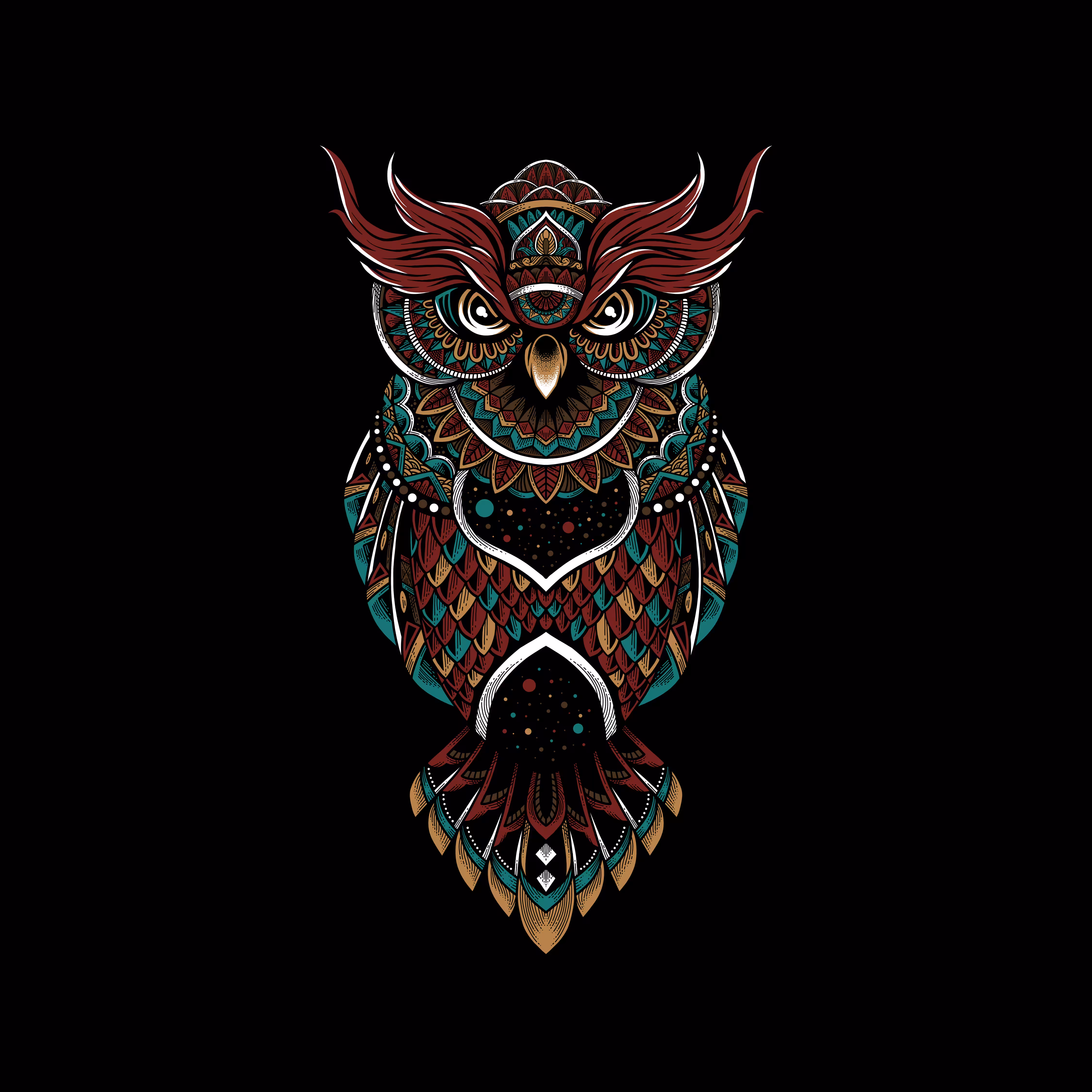 THE OWL