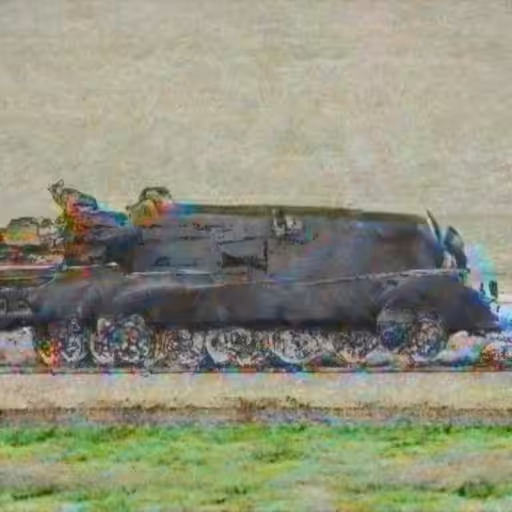 Katie Morris - Tank Dog