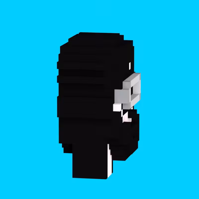 VoxelPunk #3