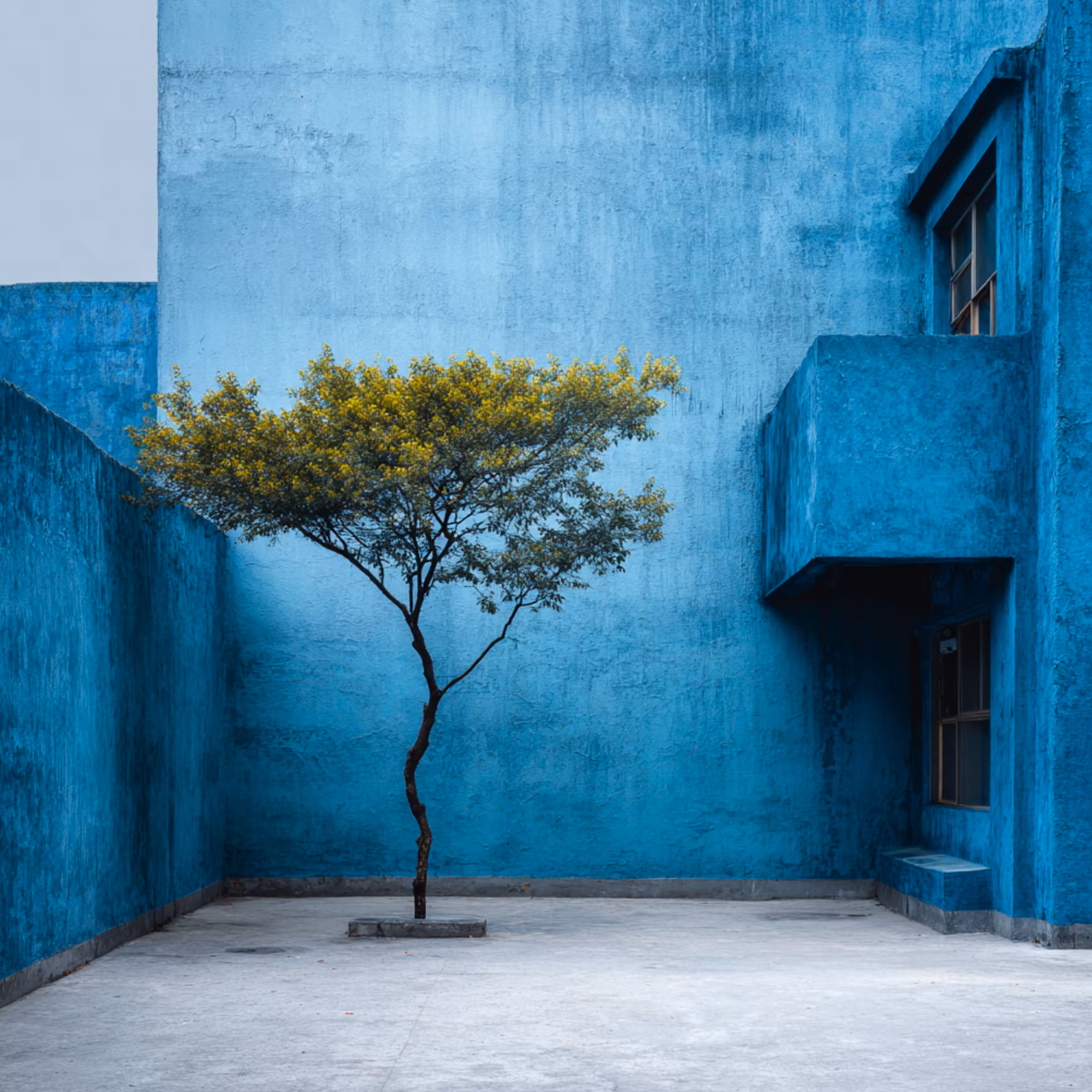 All kind of Blue
