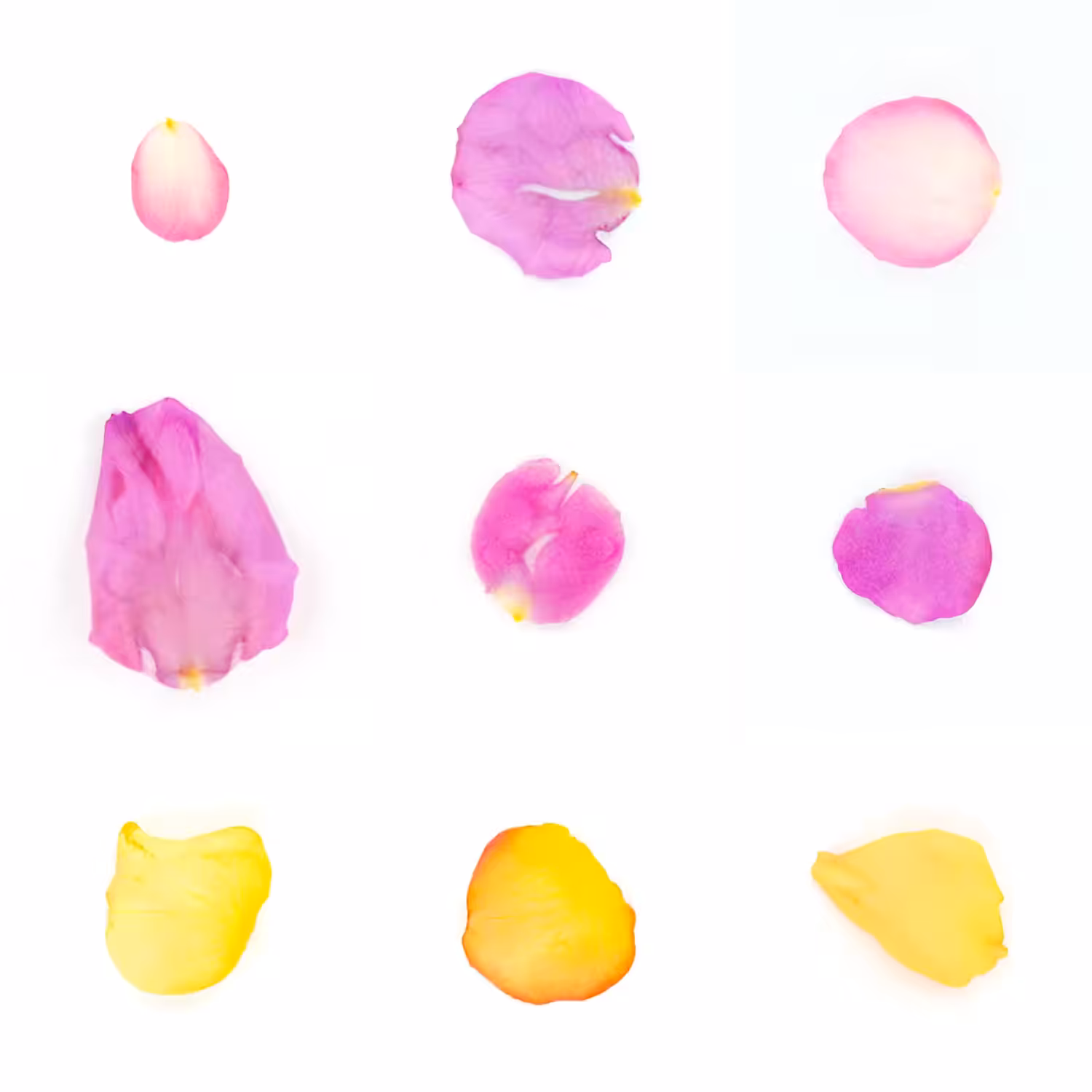 Infinite Petals 3x3#3454