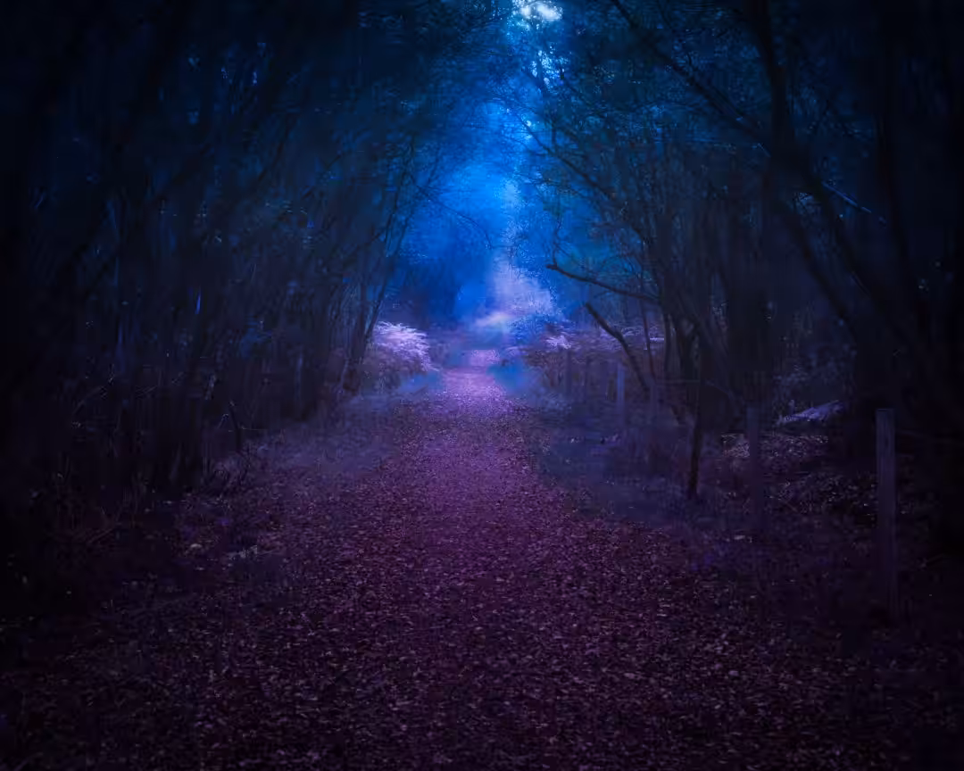 Imagination