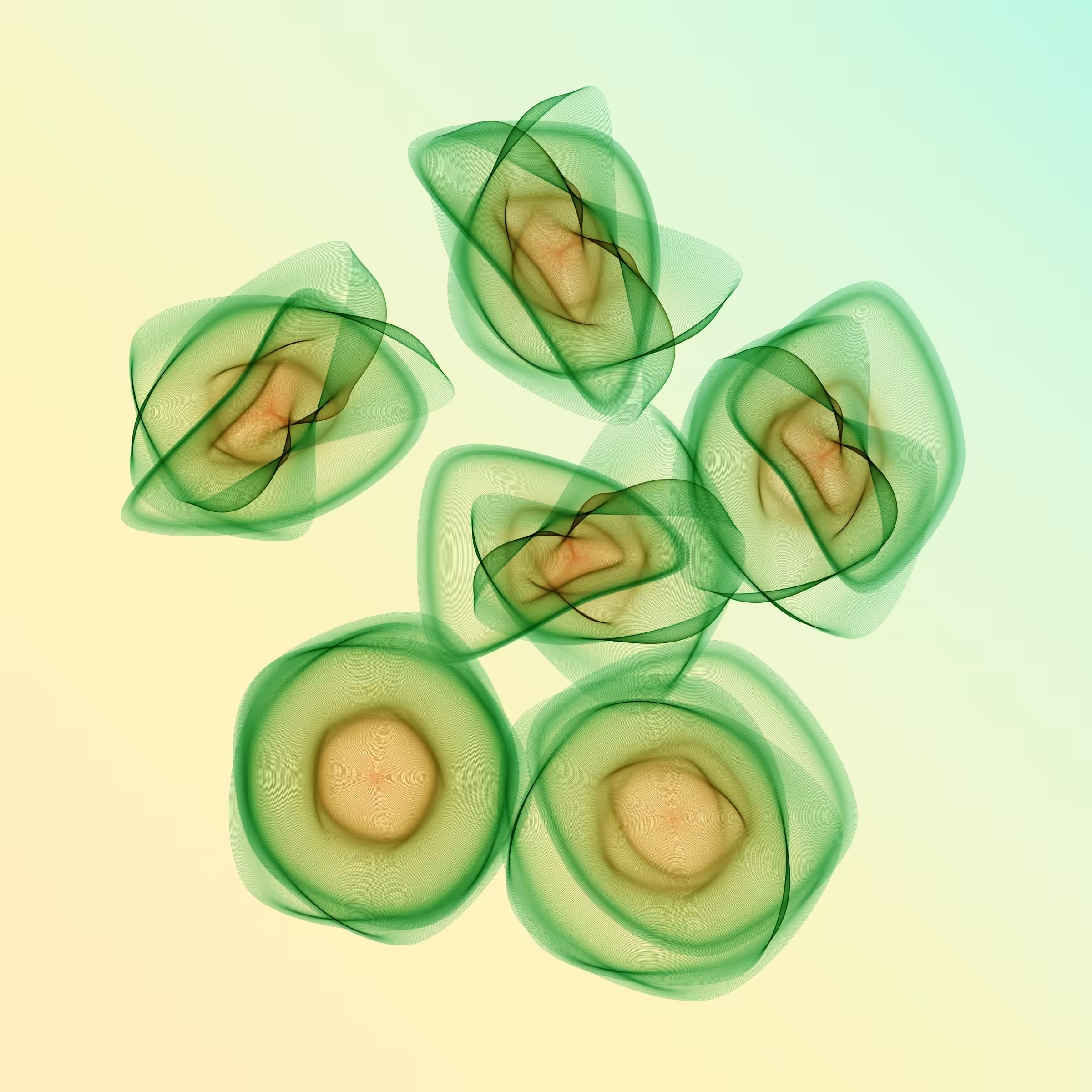 Flowers #3183