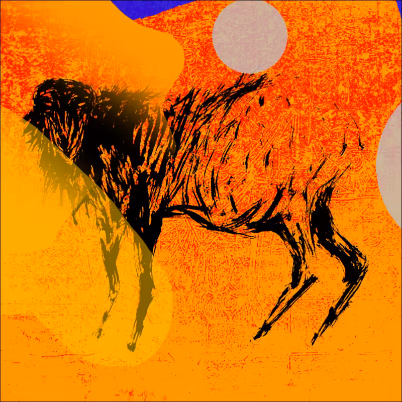 tHE sHEEP #6