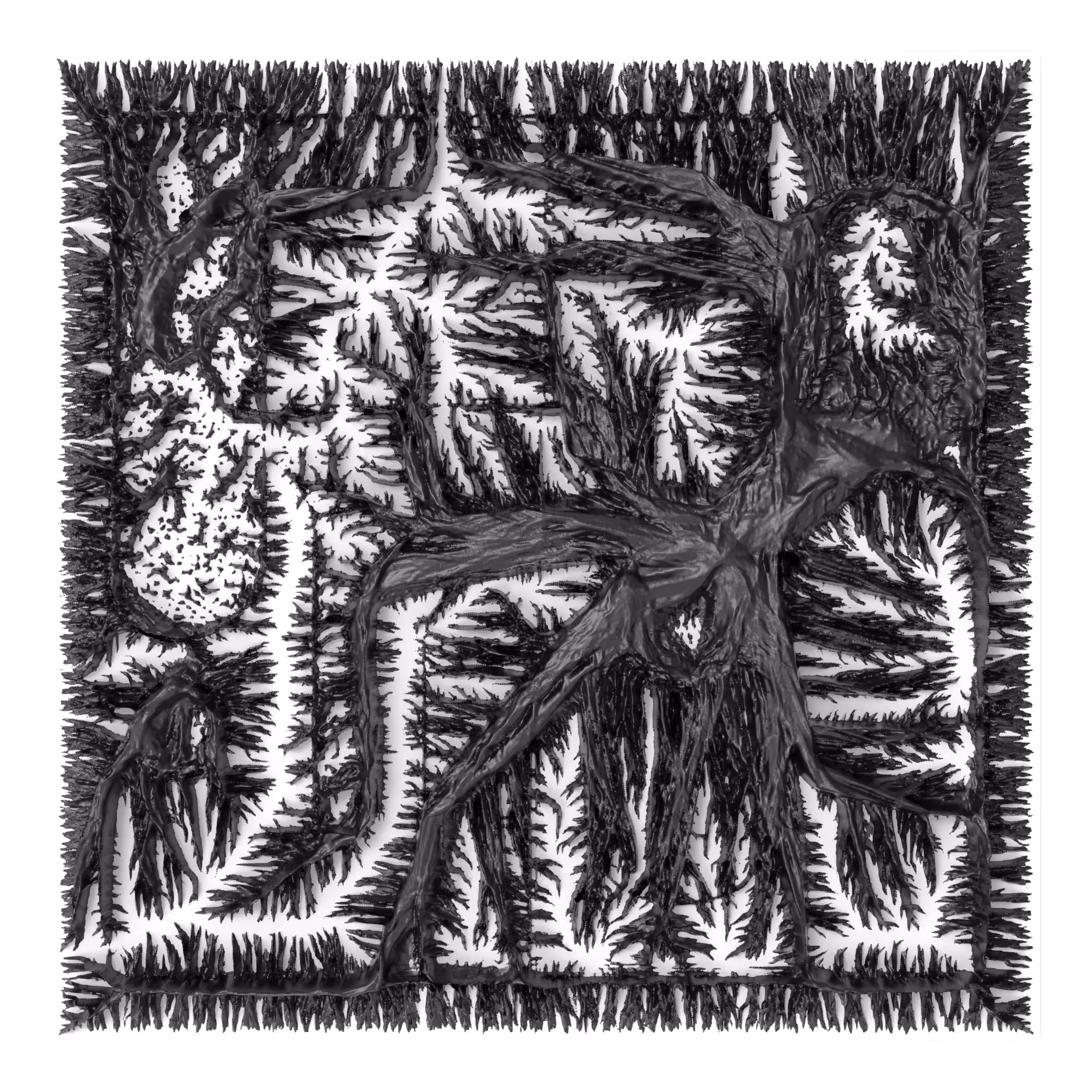 BW Algoscapes 34