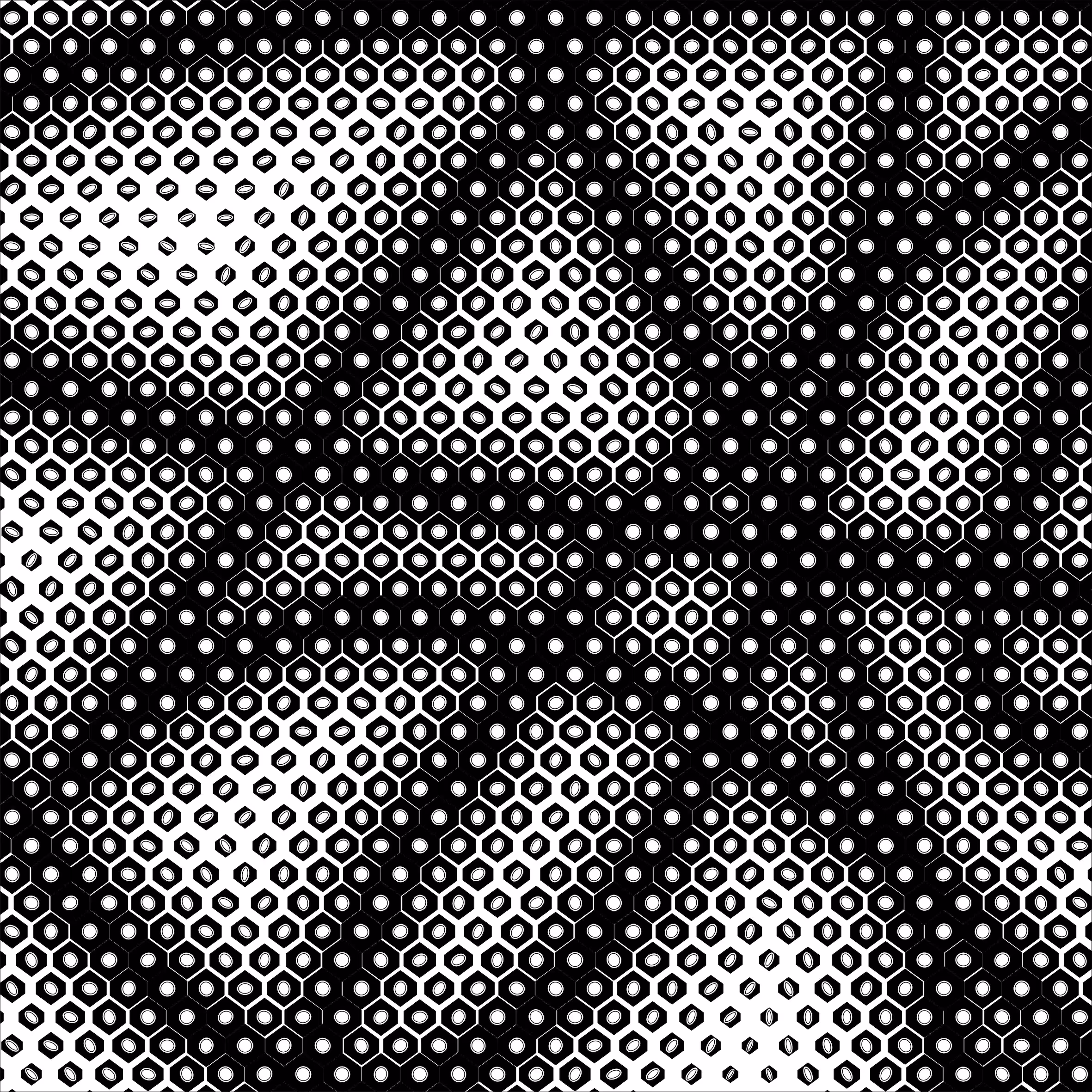 003 - Morphogenesis - 2D Attractor