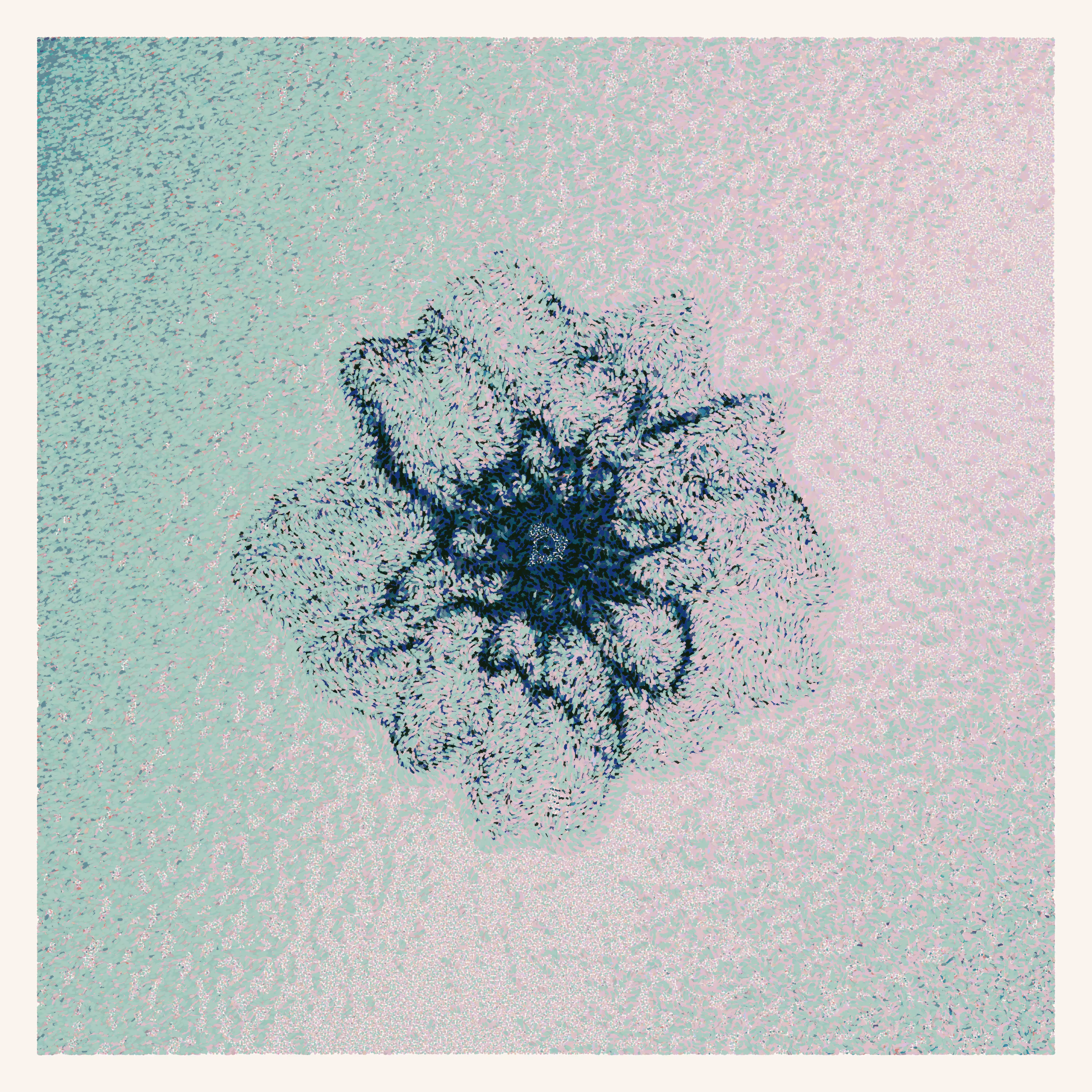 Flower Portrait #85