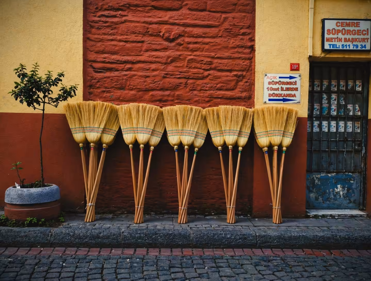 The Brooms of a Forgotten Street 