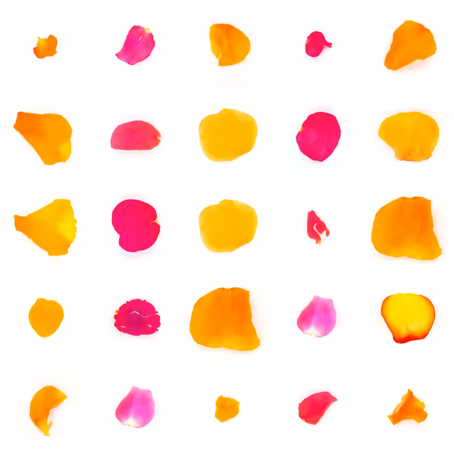 Infinite Petals 5x5#20512