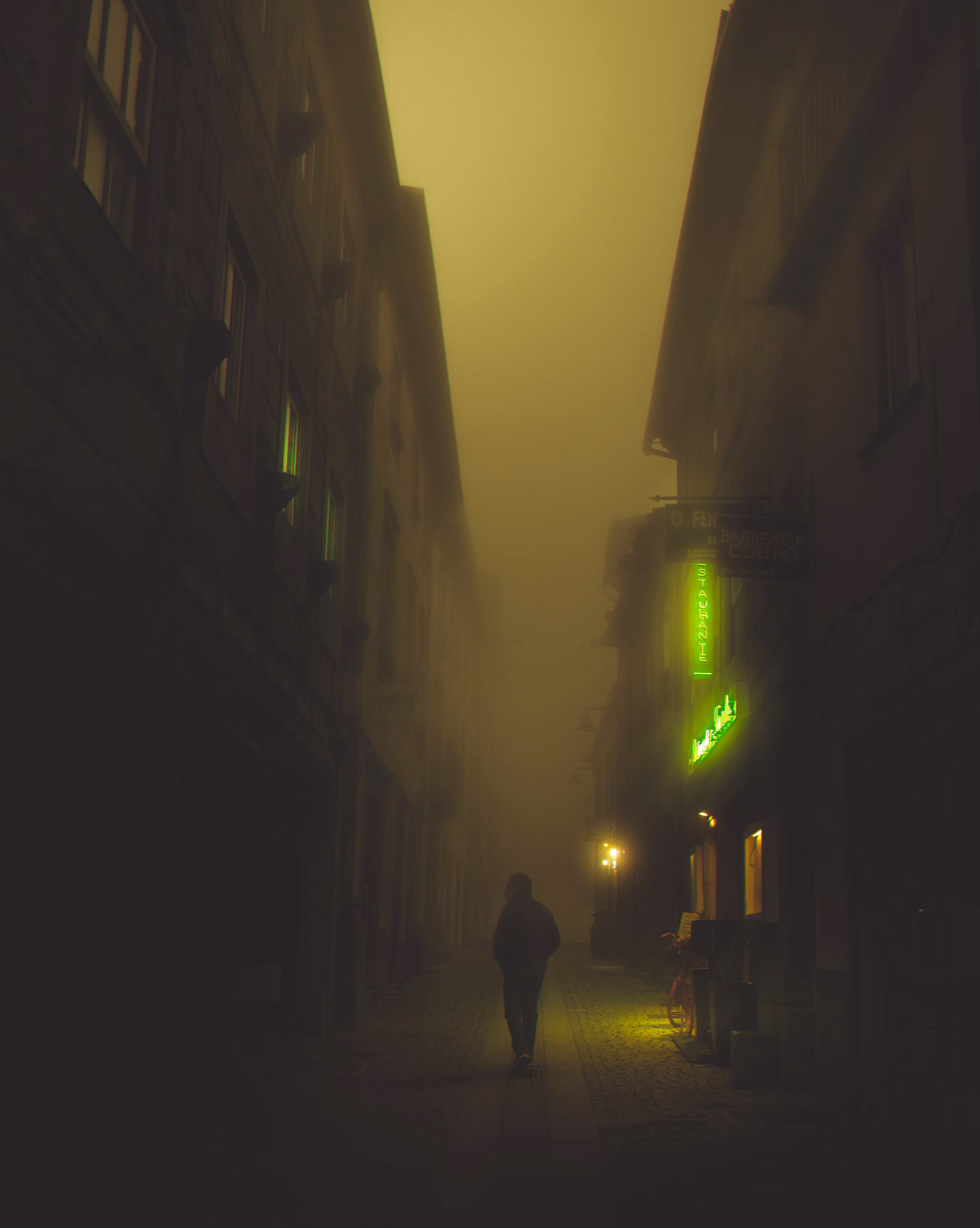 Into The Mist