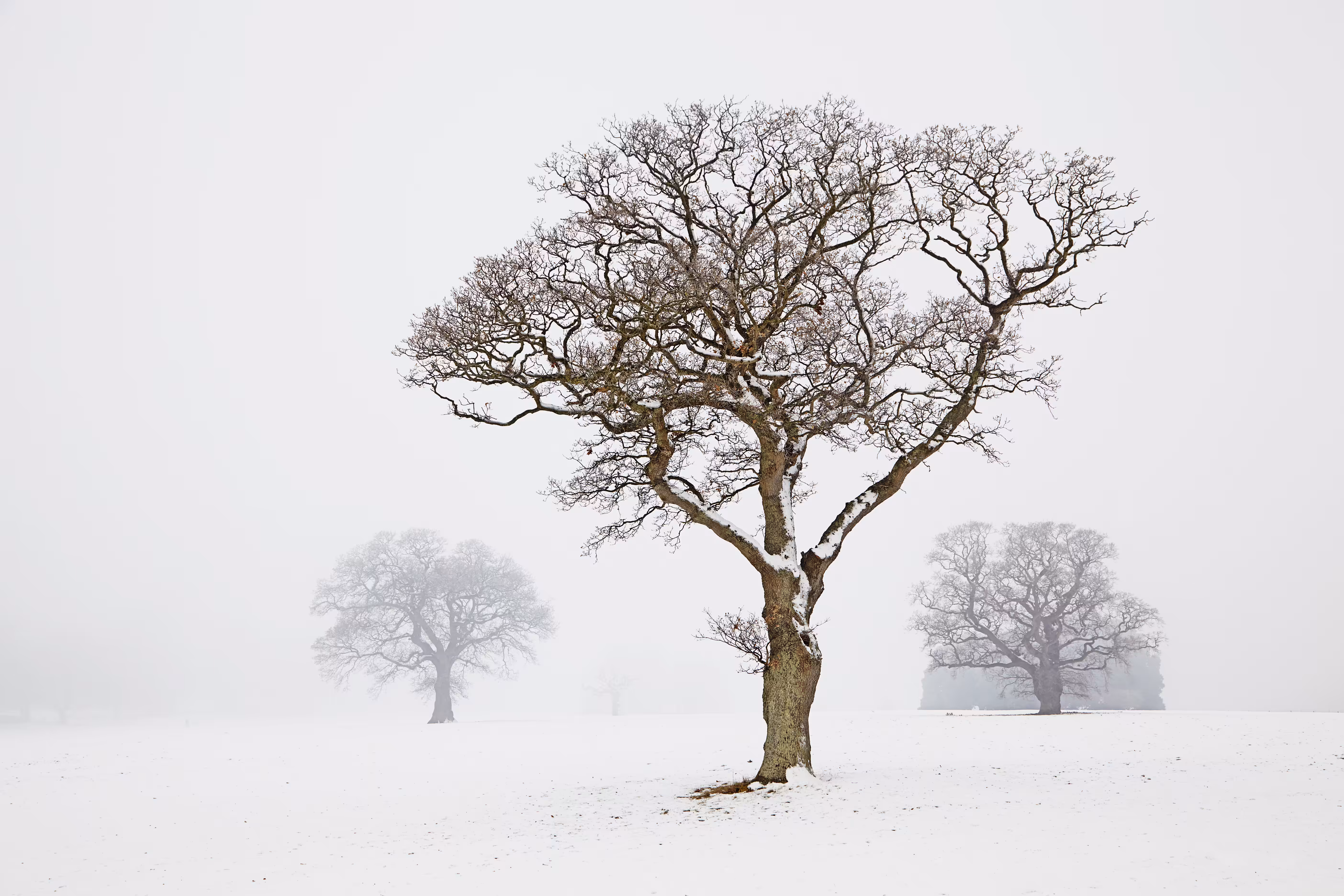 Waiting for Spring