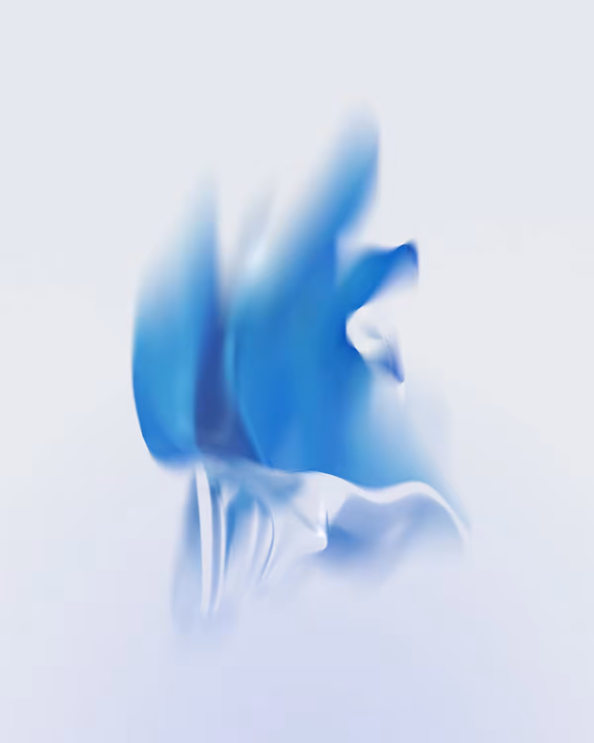Envisions #2