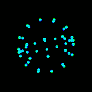 Nucleus