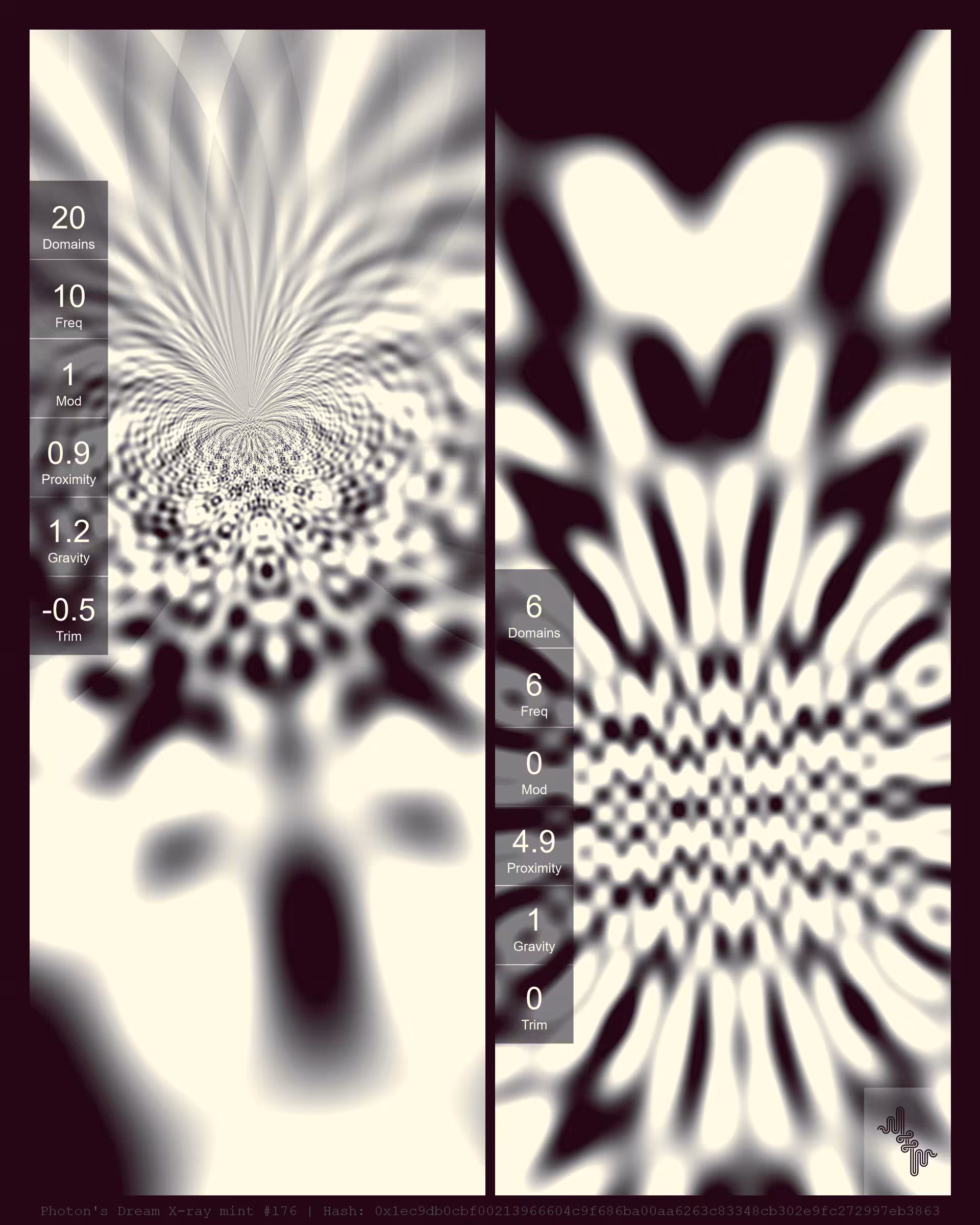 Photon's Dream X-rays by Harvey Rayner: Photon's Dream X-ray mint#176