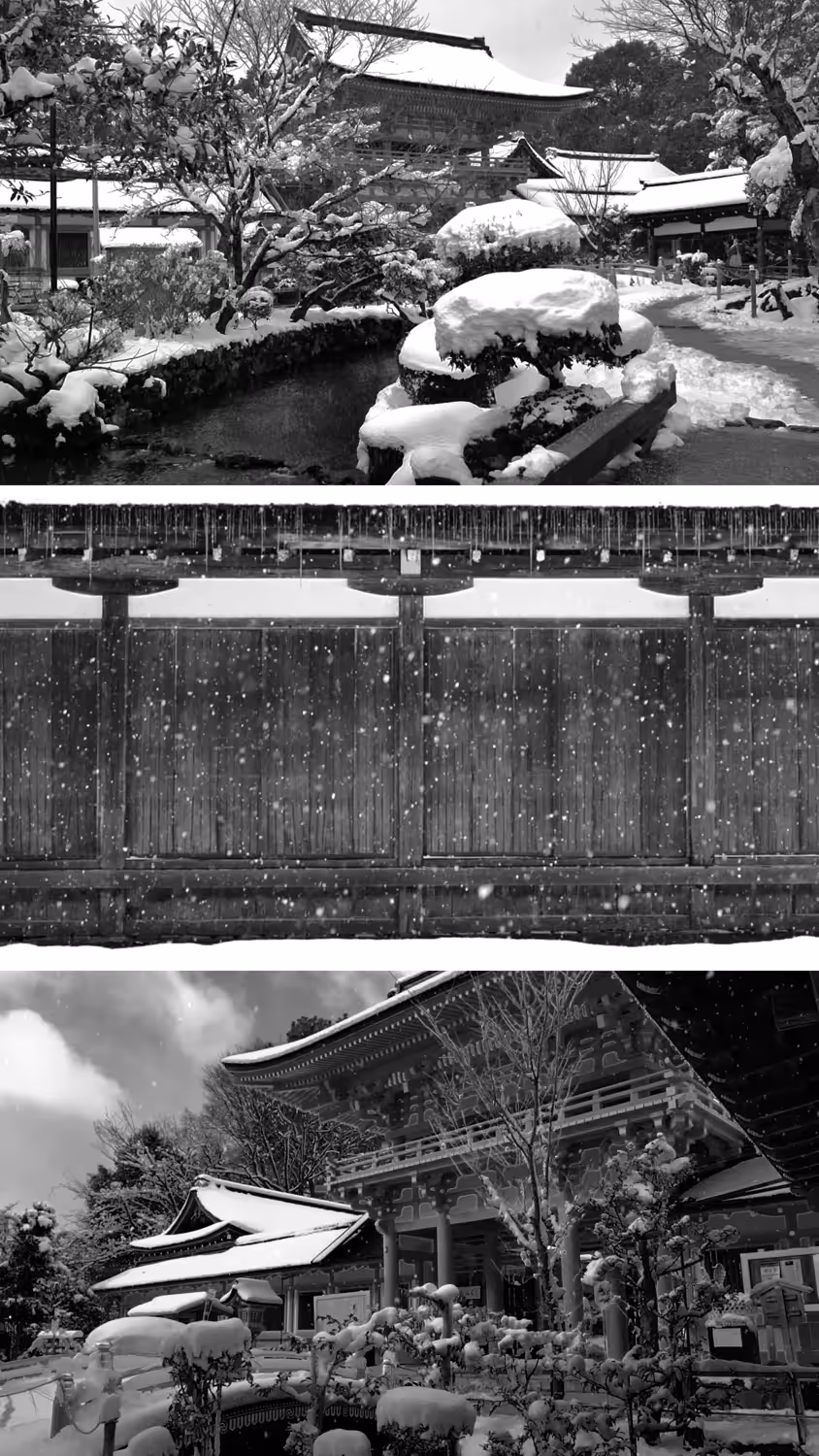 Frozen Bloom | 凍てつく花咲