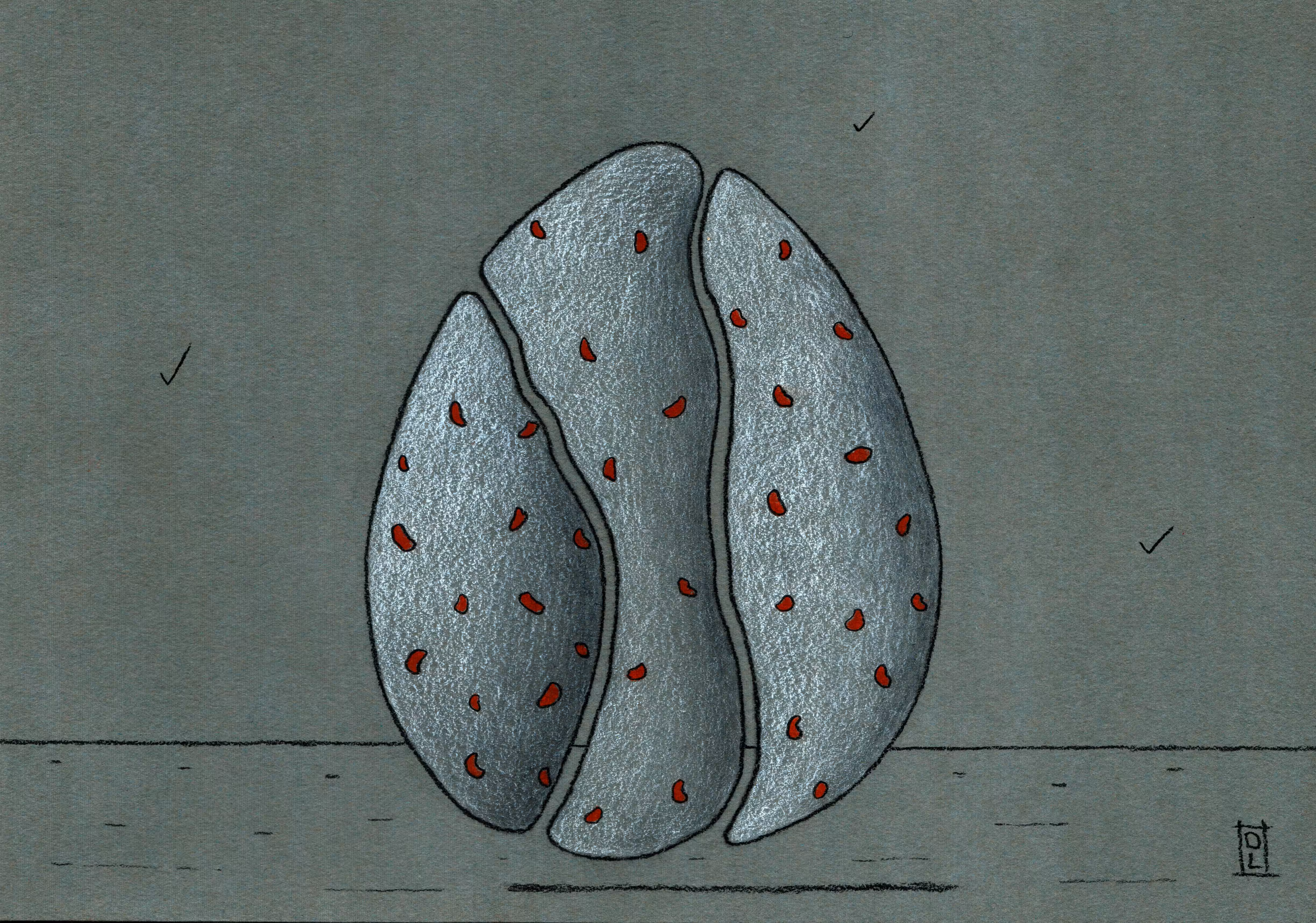 Menhir 19