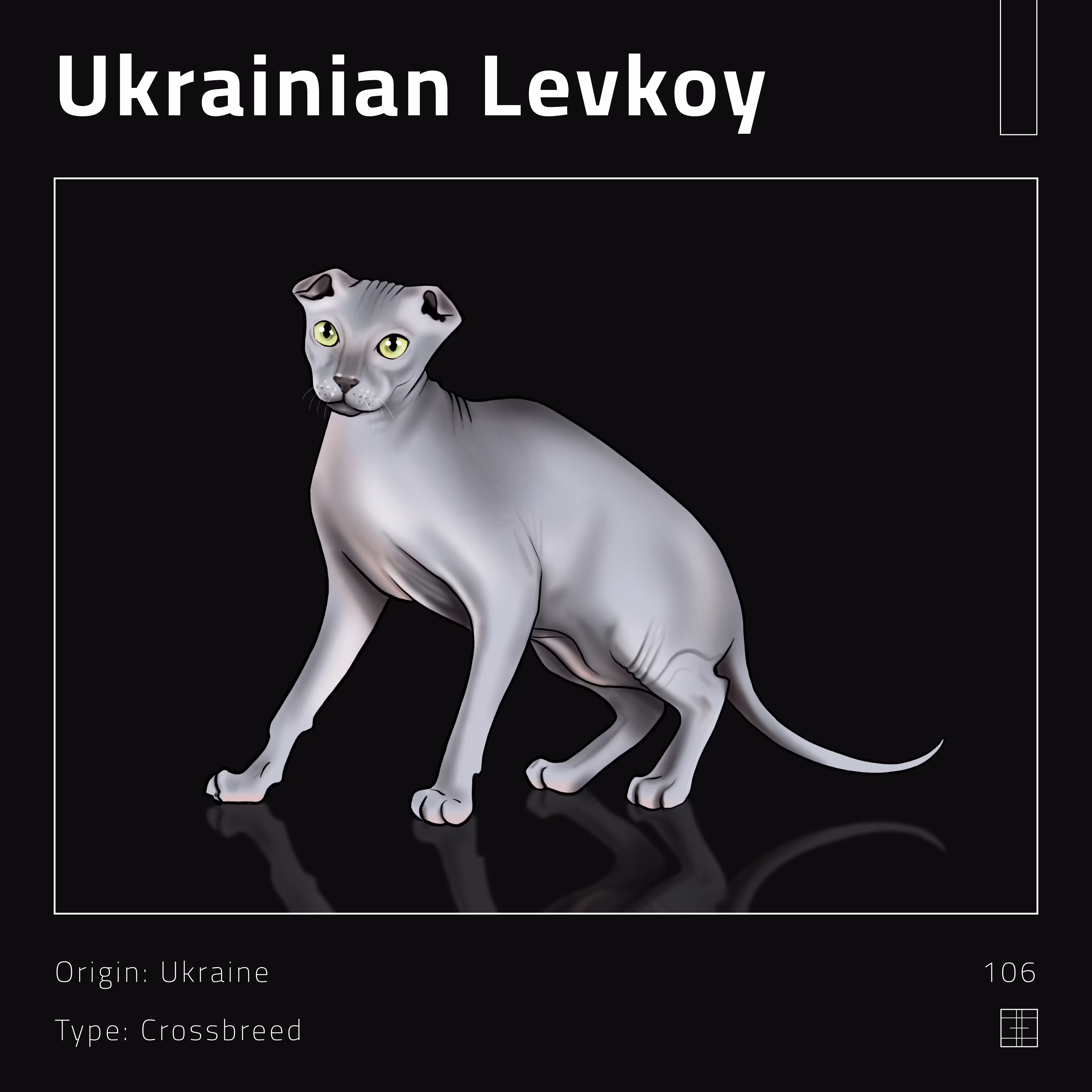 106 – Ukrainian Levkoy