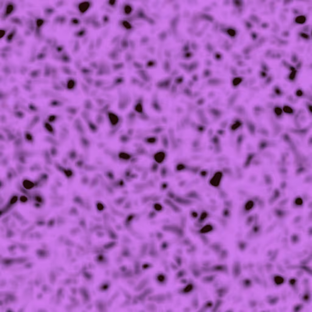 Noise 15/20 of Series 6