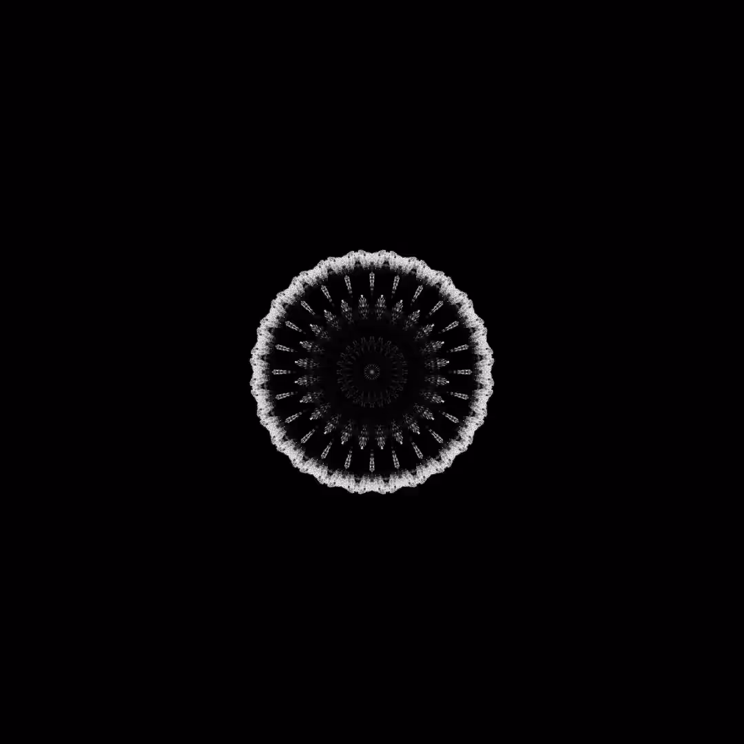 orbital warp 06