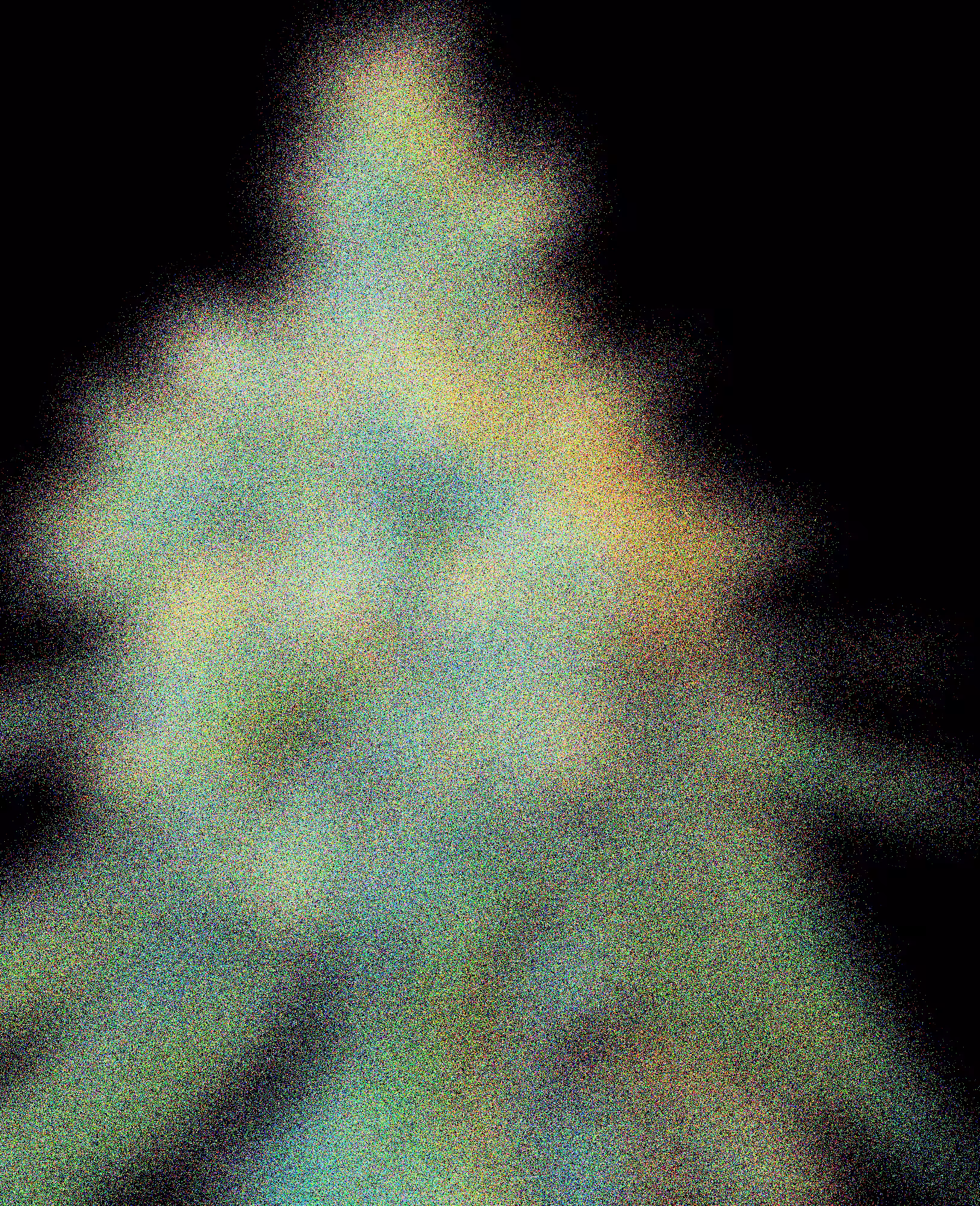 JACK HERER