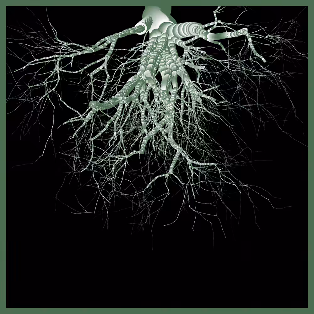 Arbres suspendus #30