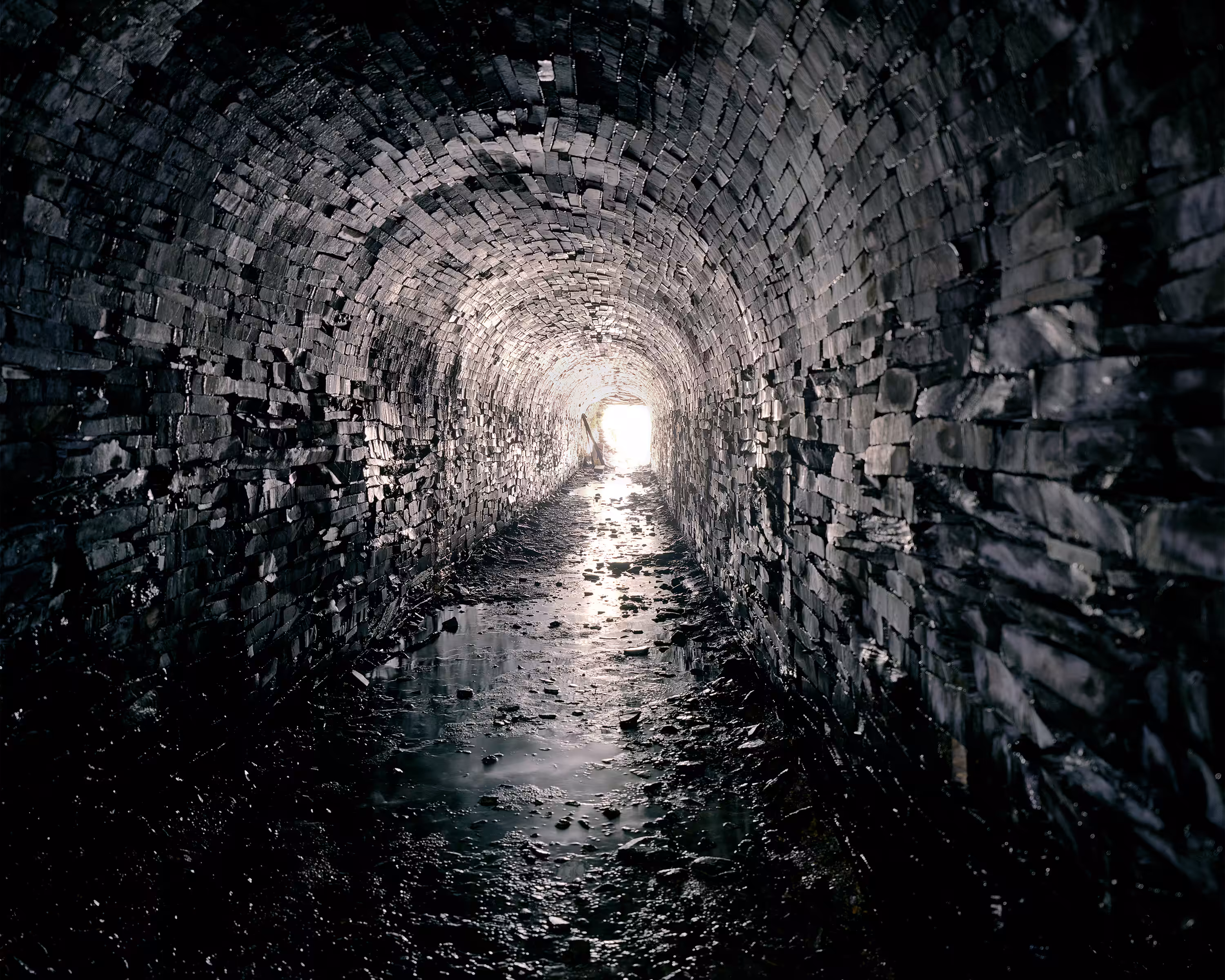 Bastard Countryside #50 Tunnel